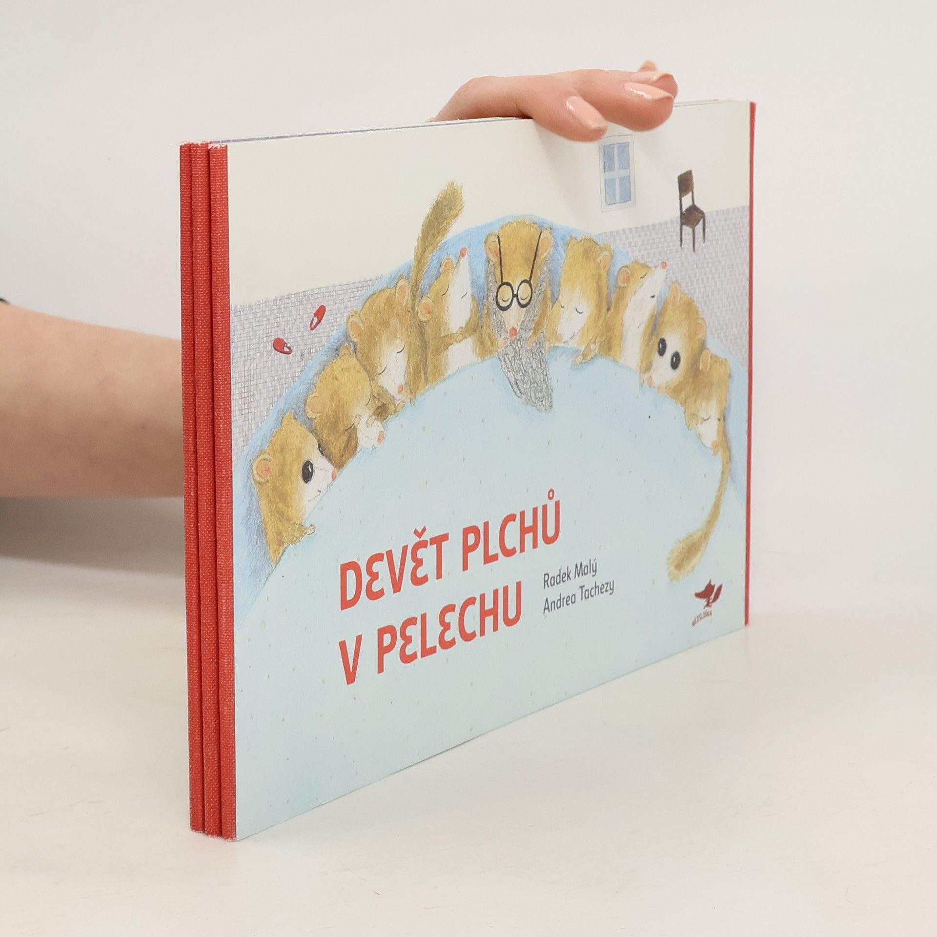 Radek Malý Devět plchů v pelechu