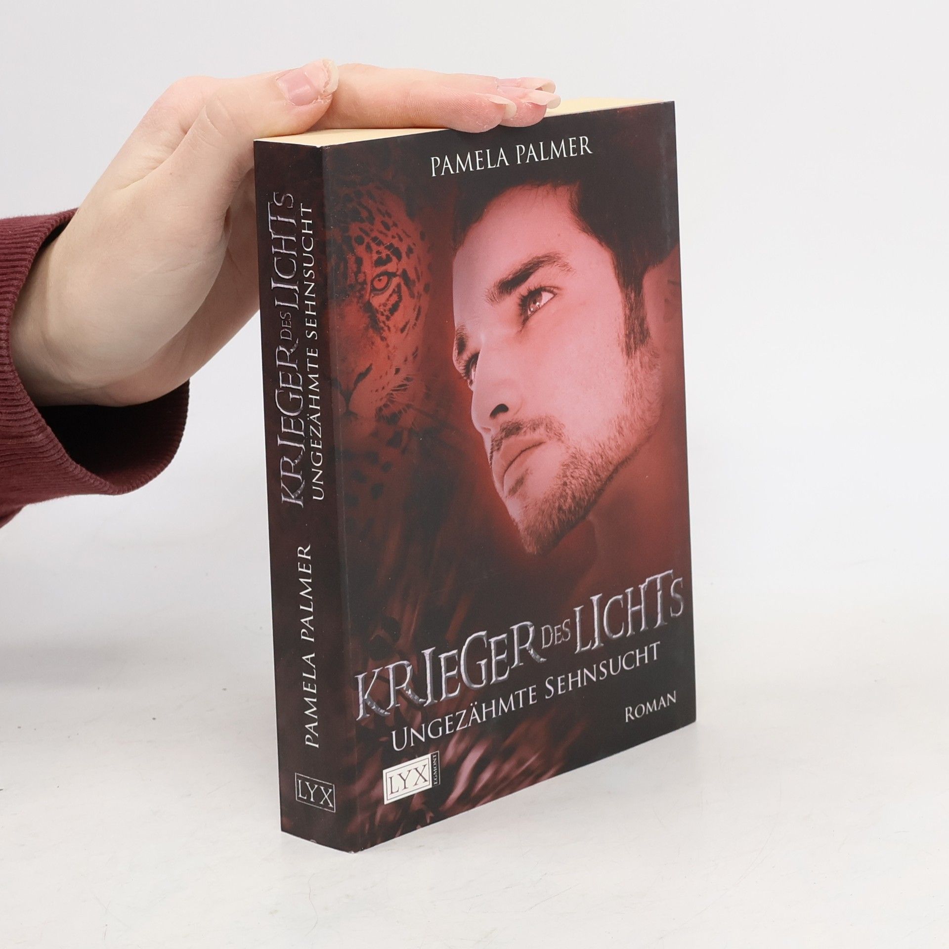 Krieger des Lichts 4