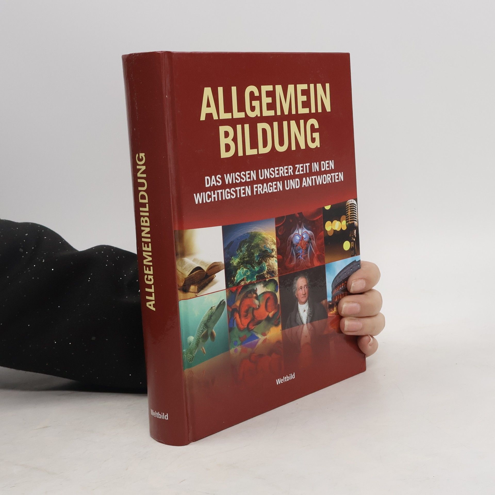 Tanja Böhm Allgemeinbildung