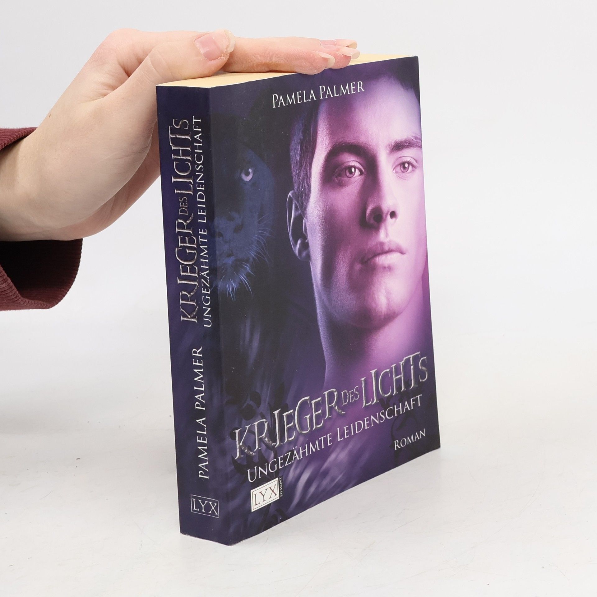Pamela Palmer Krieger des Lichts 3