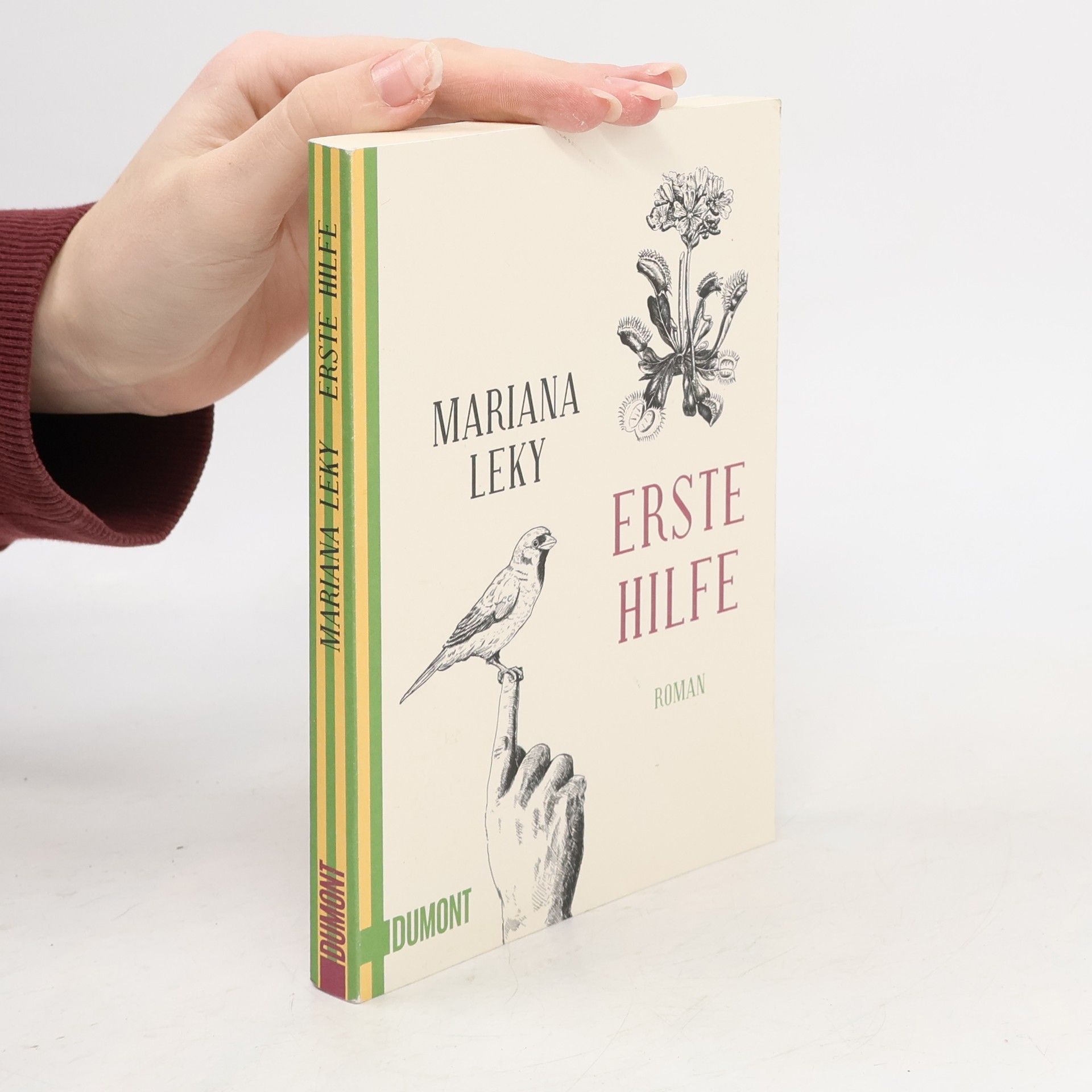 Mariana Leky Erste Hilfe