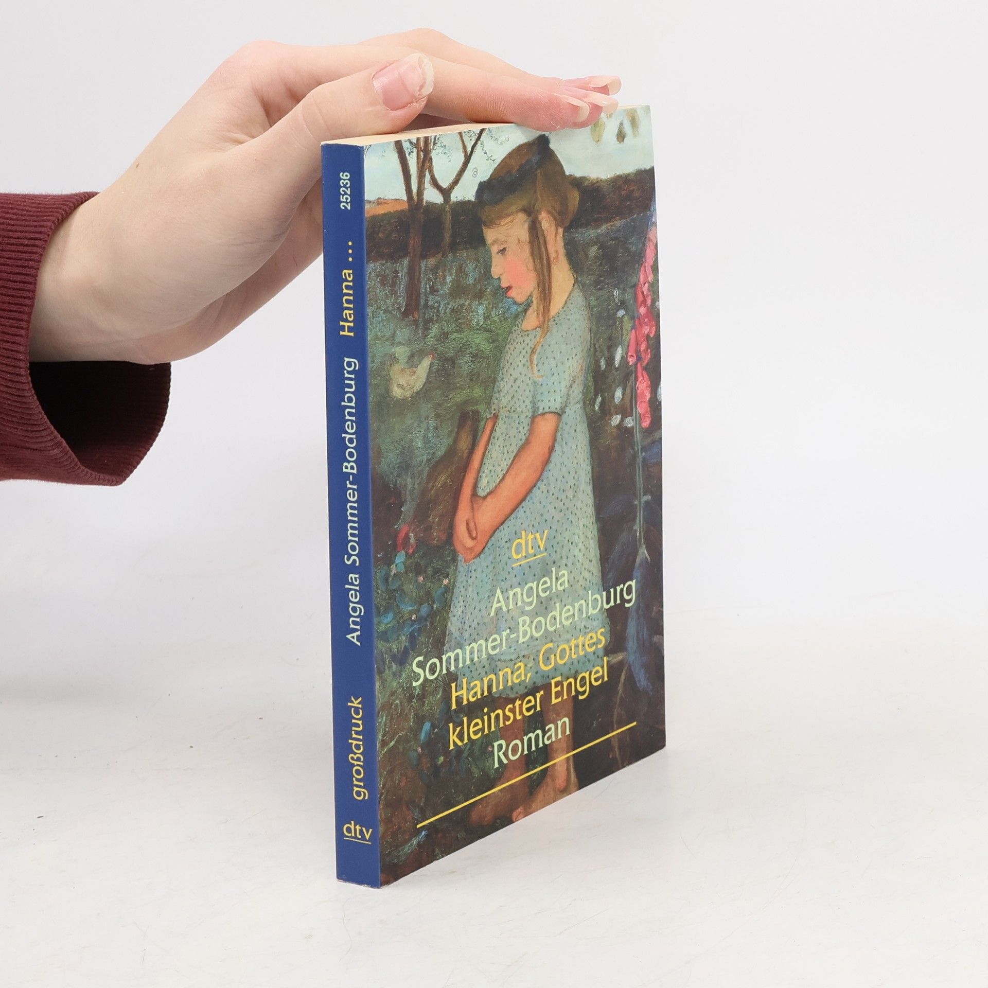 Angela Sommer-Bodenburg dtv Großdruck: Hanna, Gottes kleinster Engel