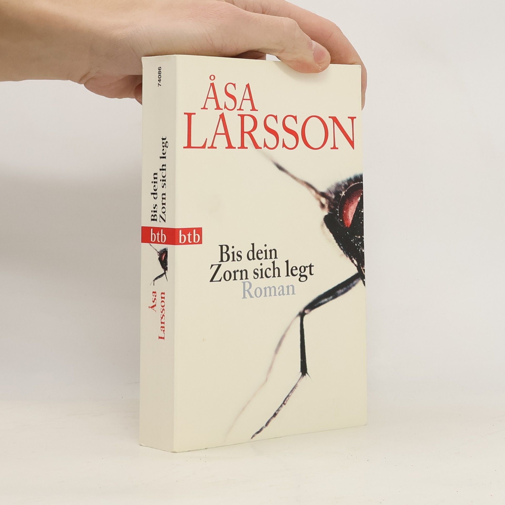 Åsa Larsson Bis dein Zorn sich legt
