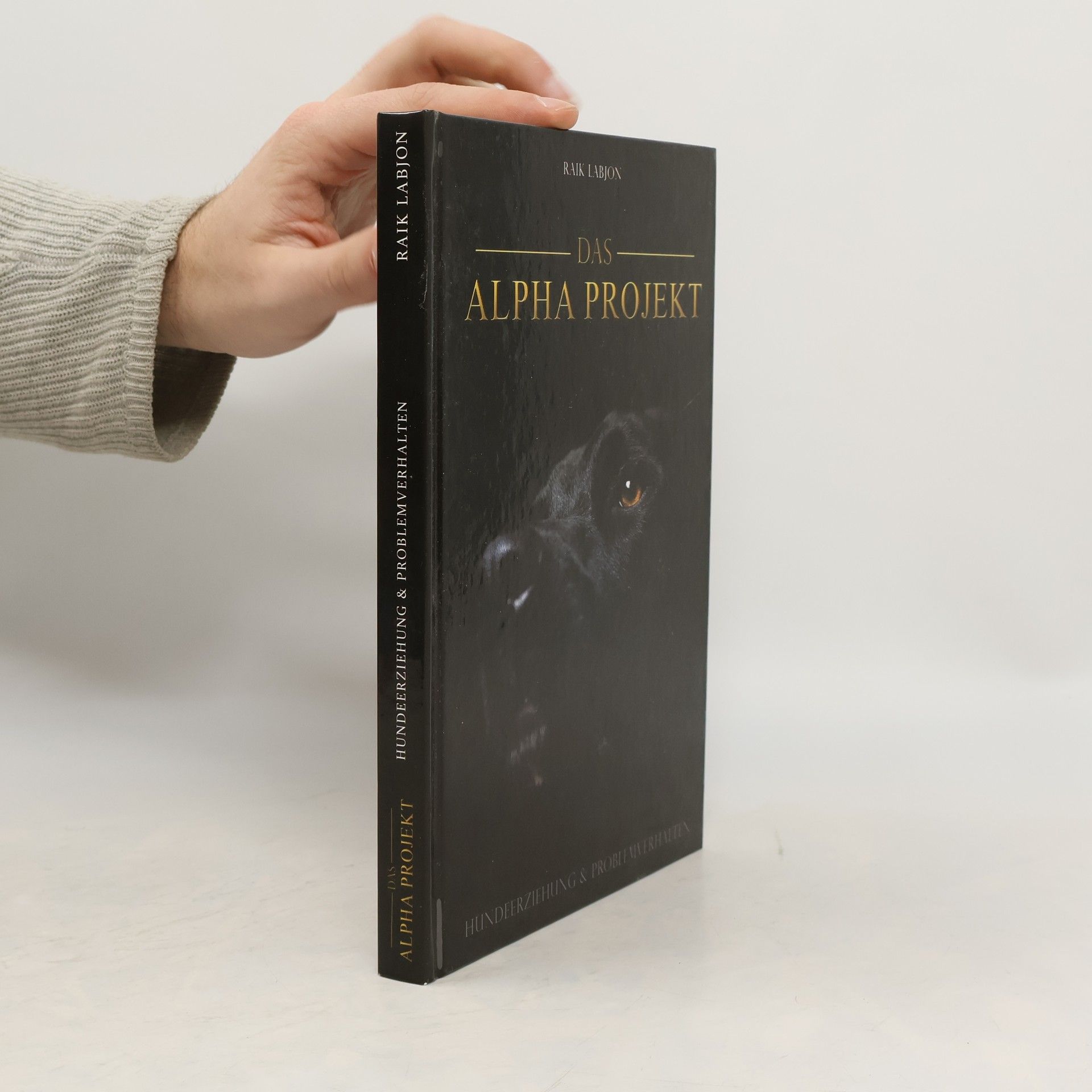 Das Alpha-Projekt