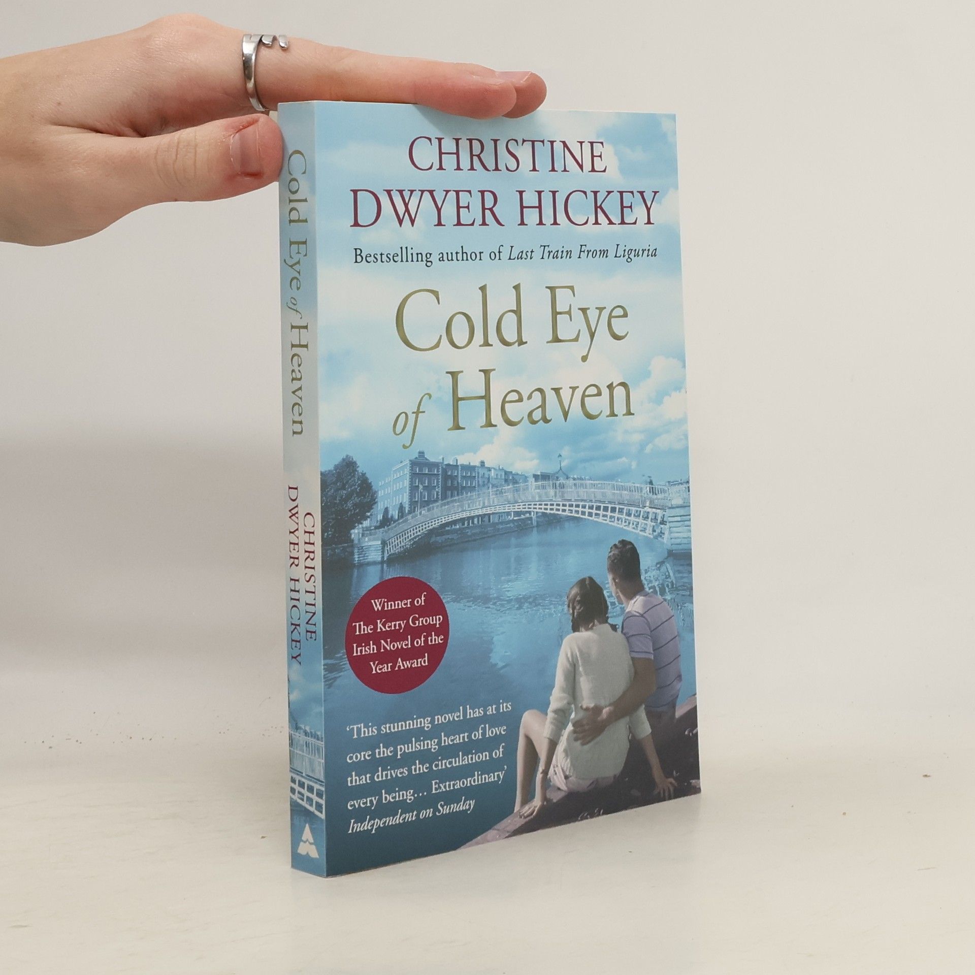 Christine Dwyer Hickey Cold Eye of Heaven