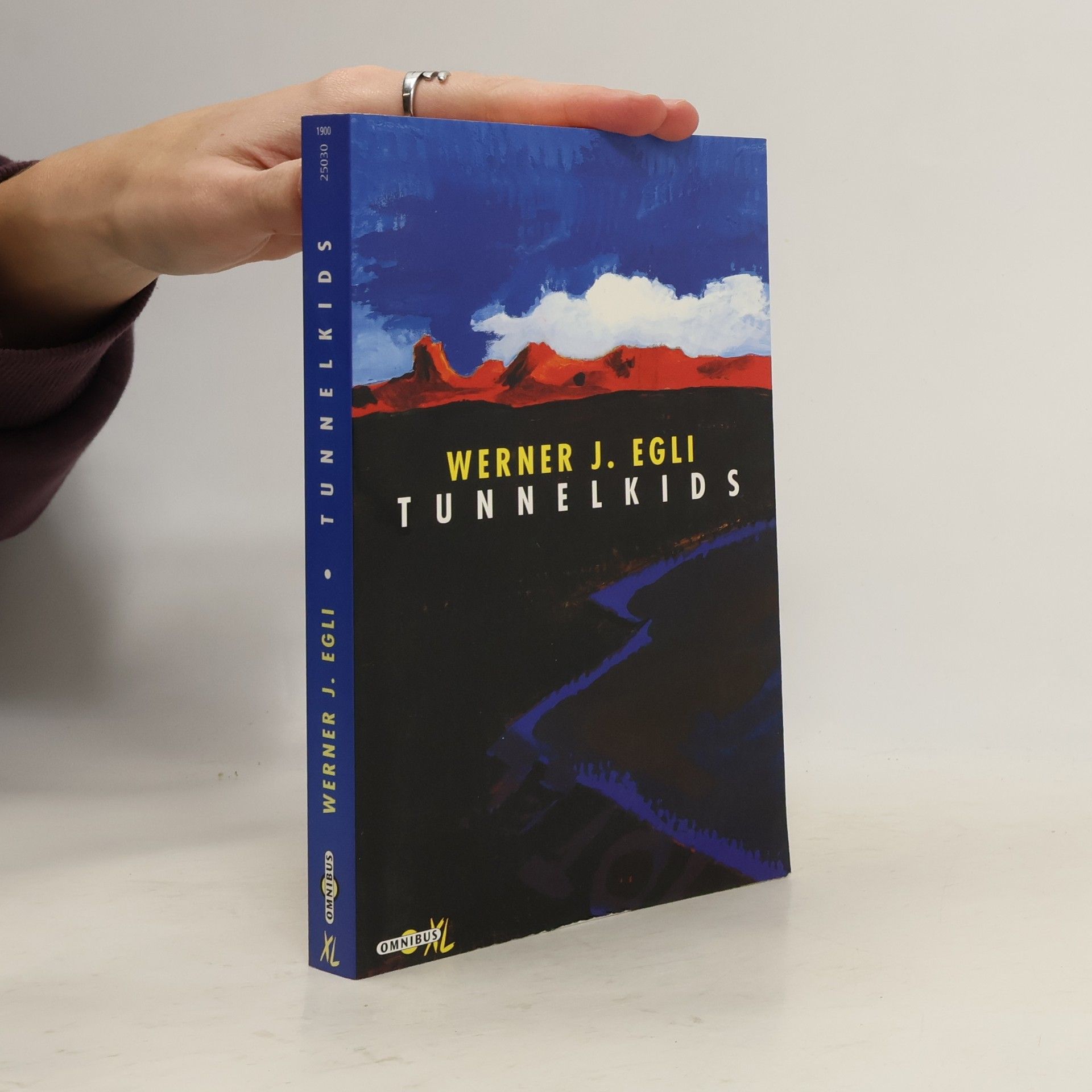 Werner J. Egli Tunnelkids