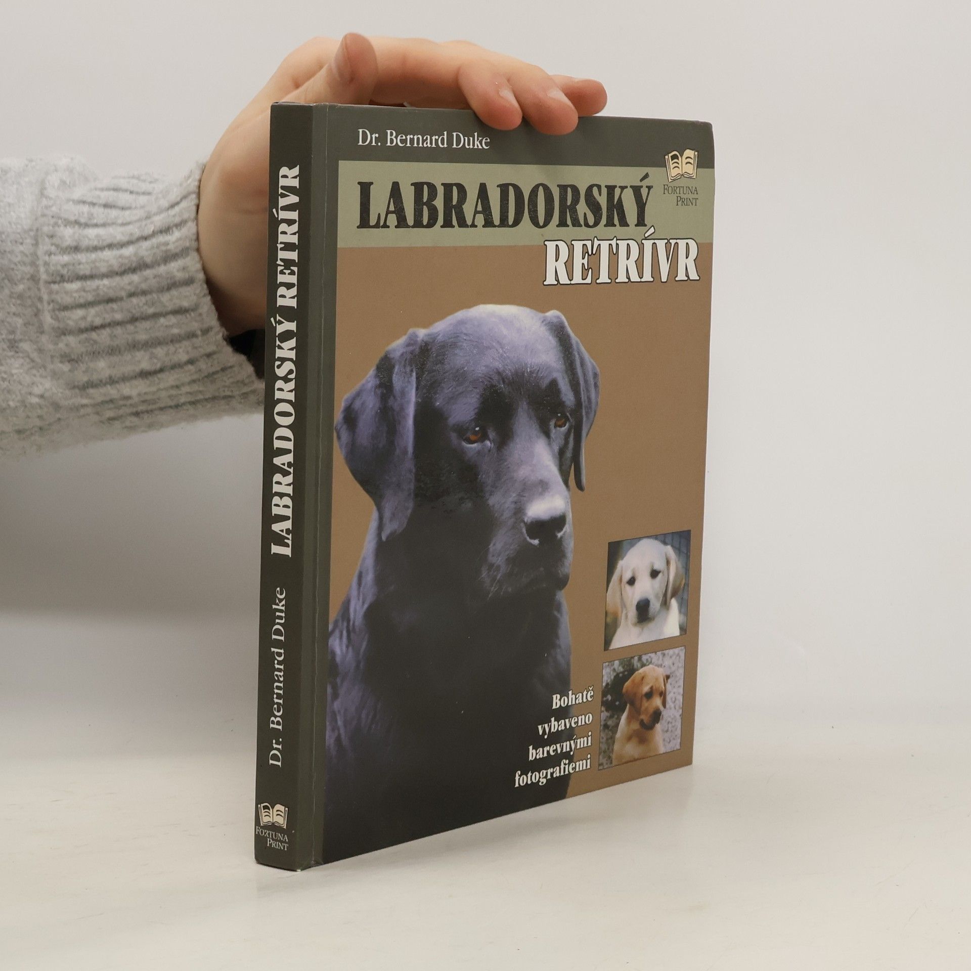 Bernard Duke Labradorský retrívr