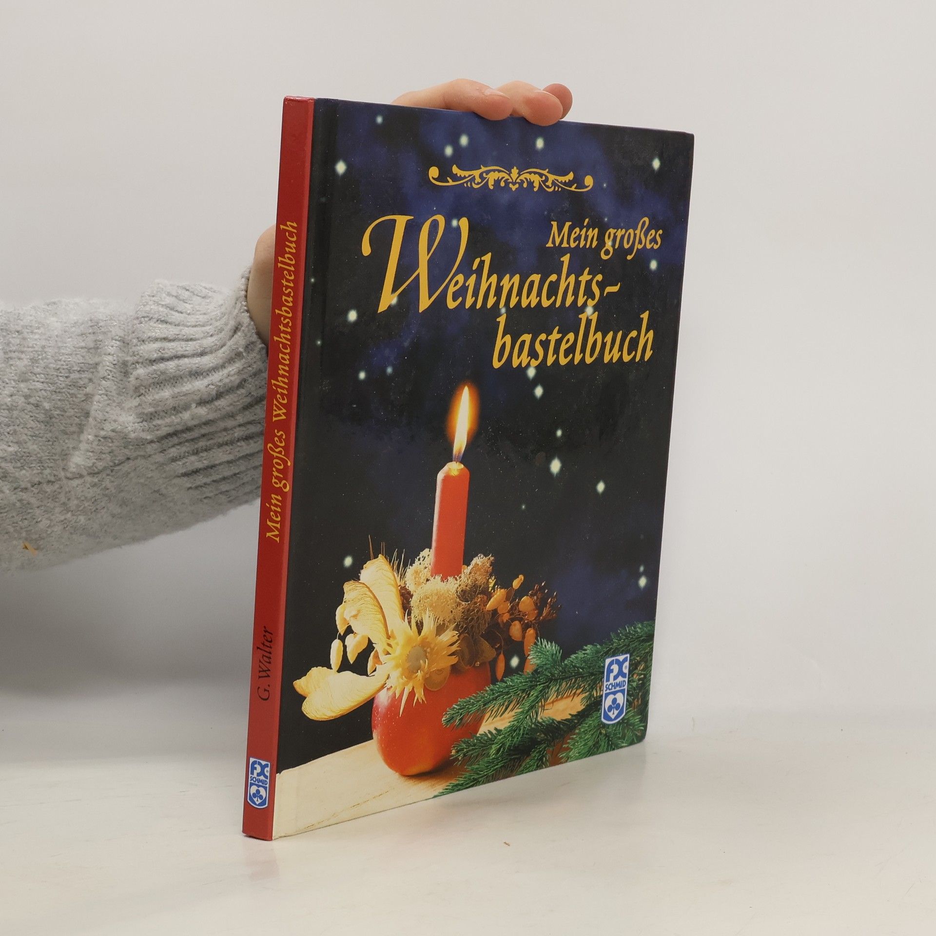 Gisela Walter Mein grosses Weihnachtsbastelbuch
