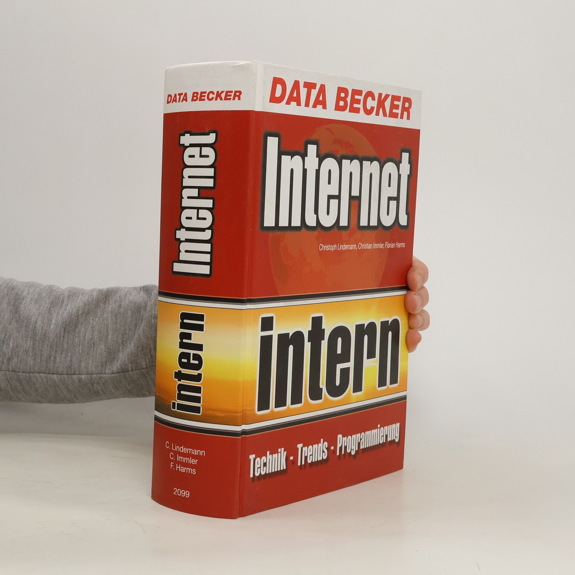 Internet intern