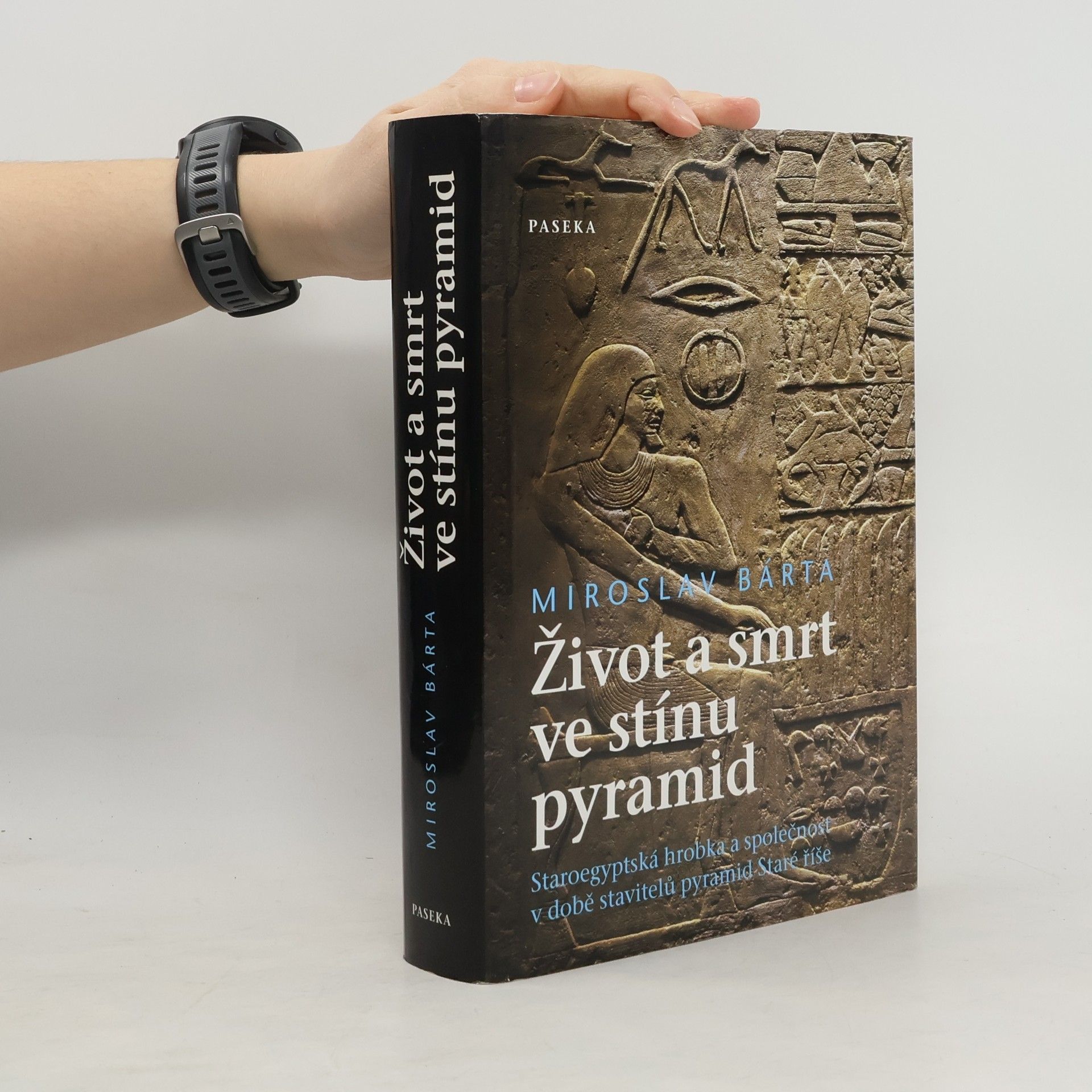Miroslav Bárta Život a smrt ve stínu pyramid. Staroegyptská hrobka a společnost v době stavitelů pyramid Staré říše