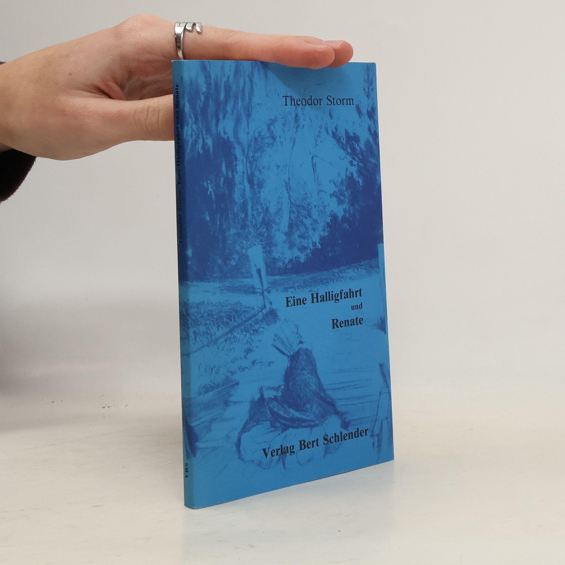Theodor Storm Eine Halligfahrt und Renate