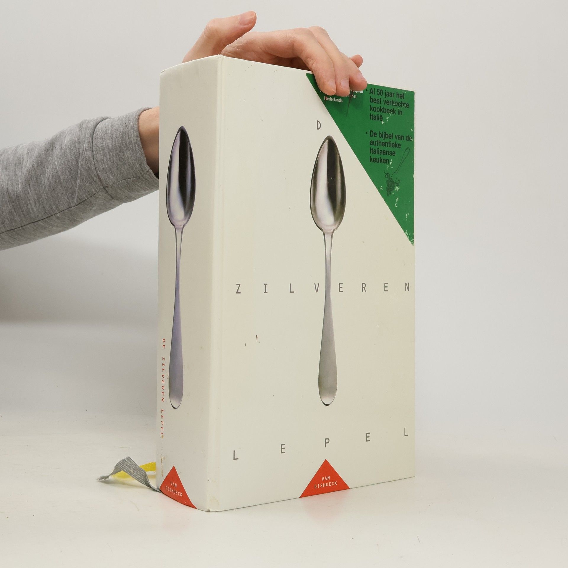 Jantine Crezée De zilveren lepel