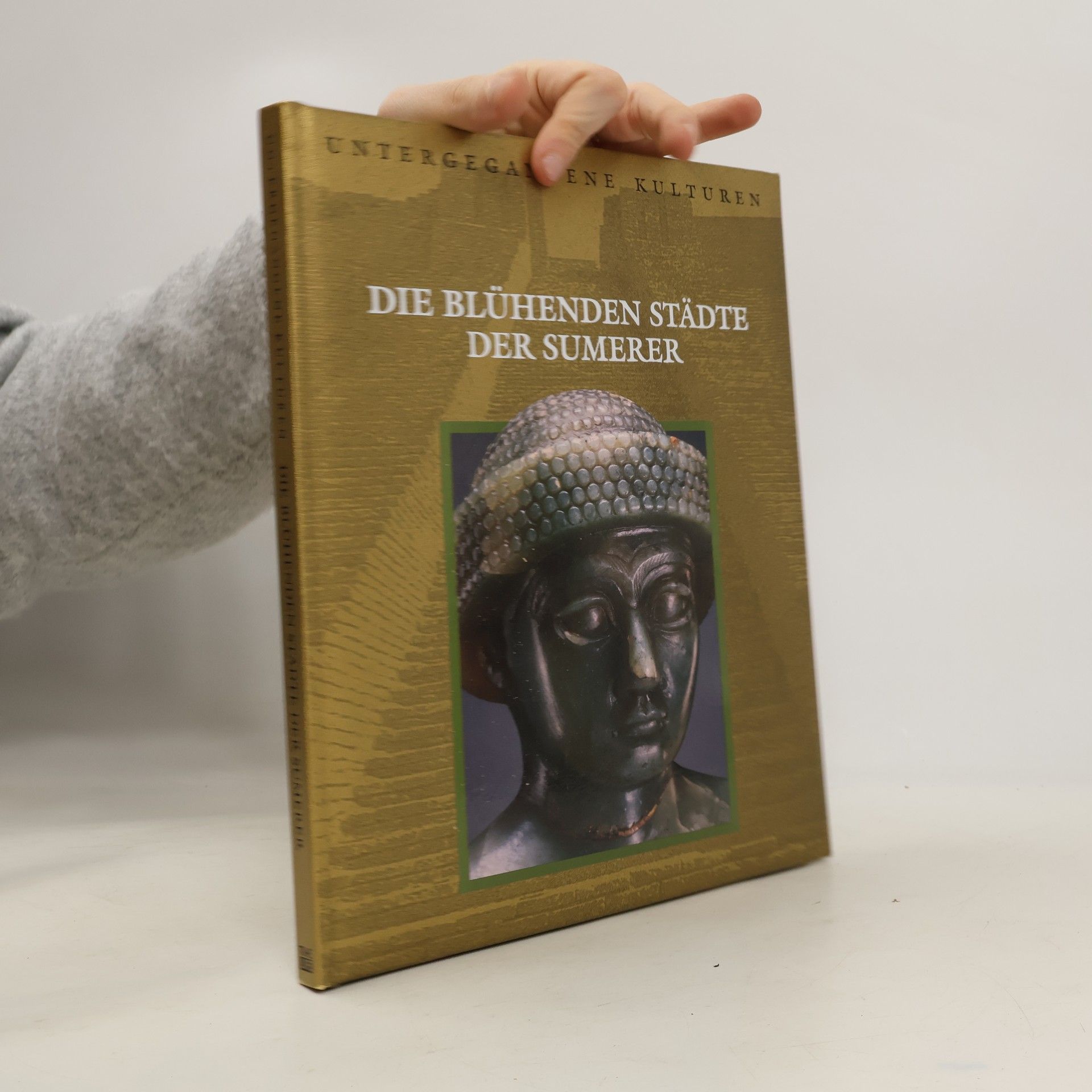 Ulla Dornberg Die blühenden Städte der Sumerer