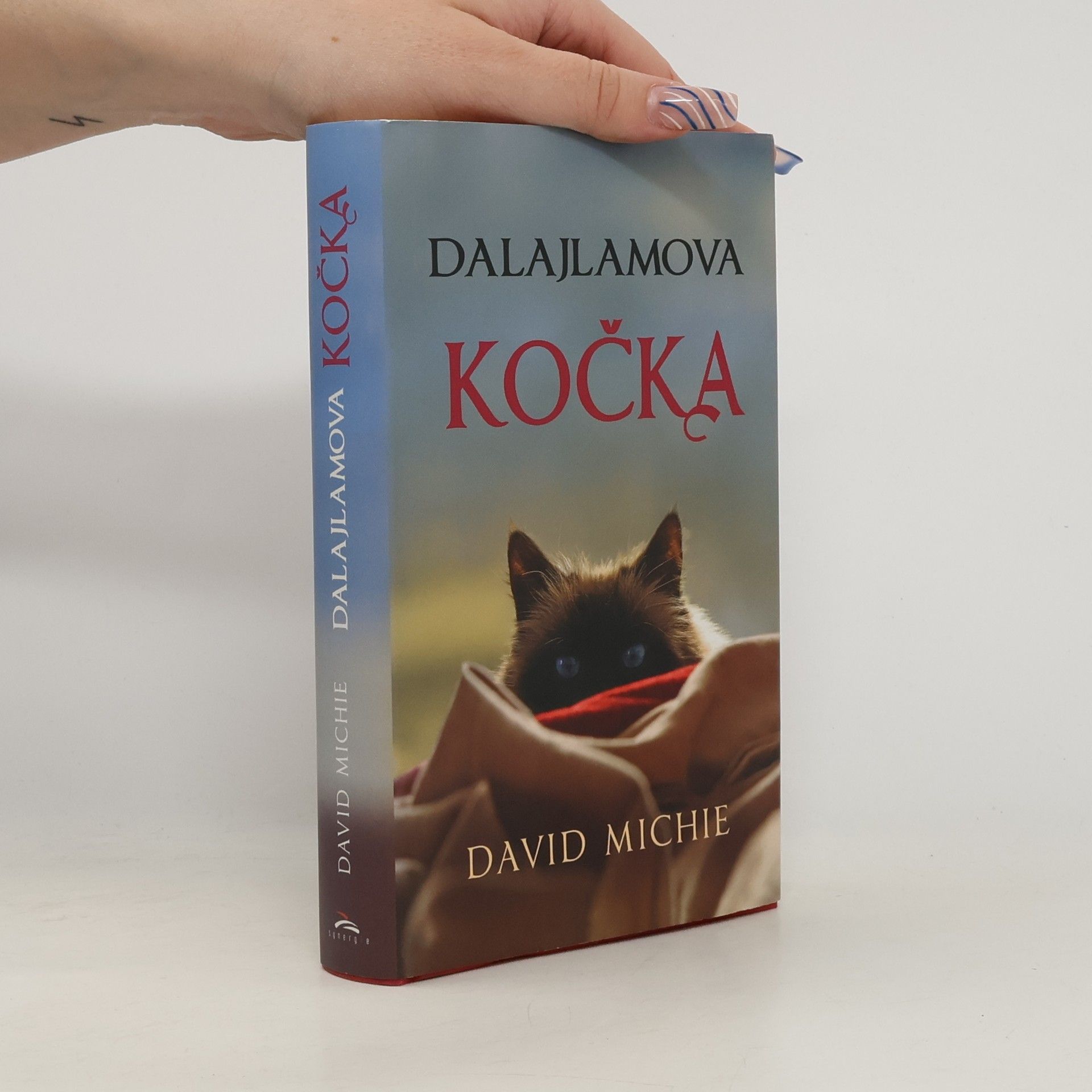 David Michie Dalajlamova kočka