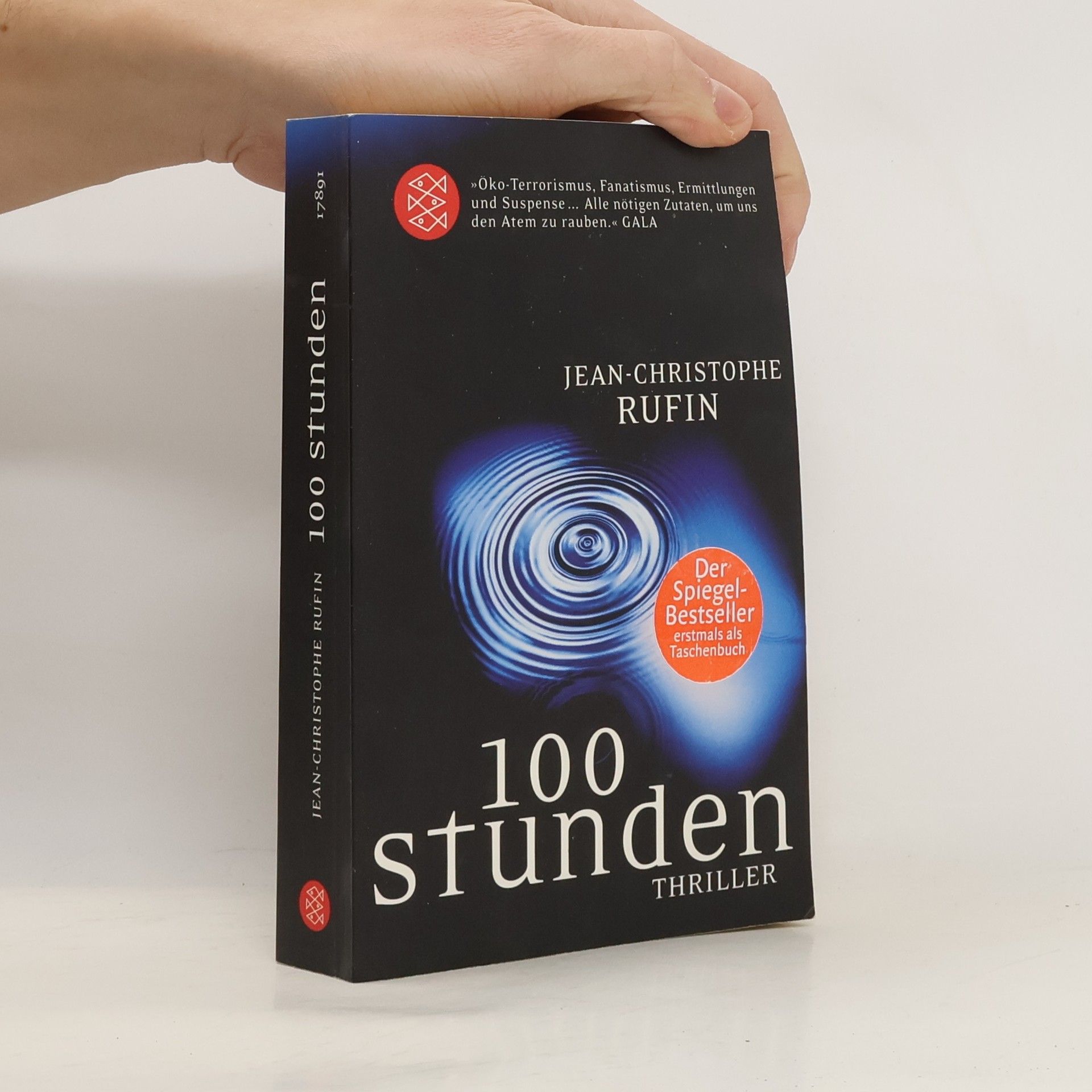 Jean Christophe Rufin 100 Stunden