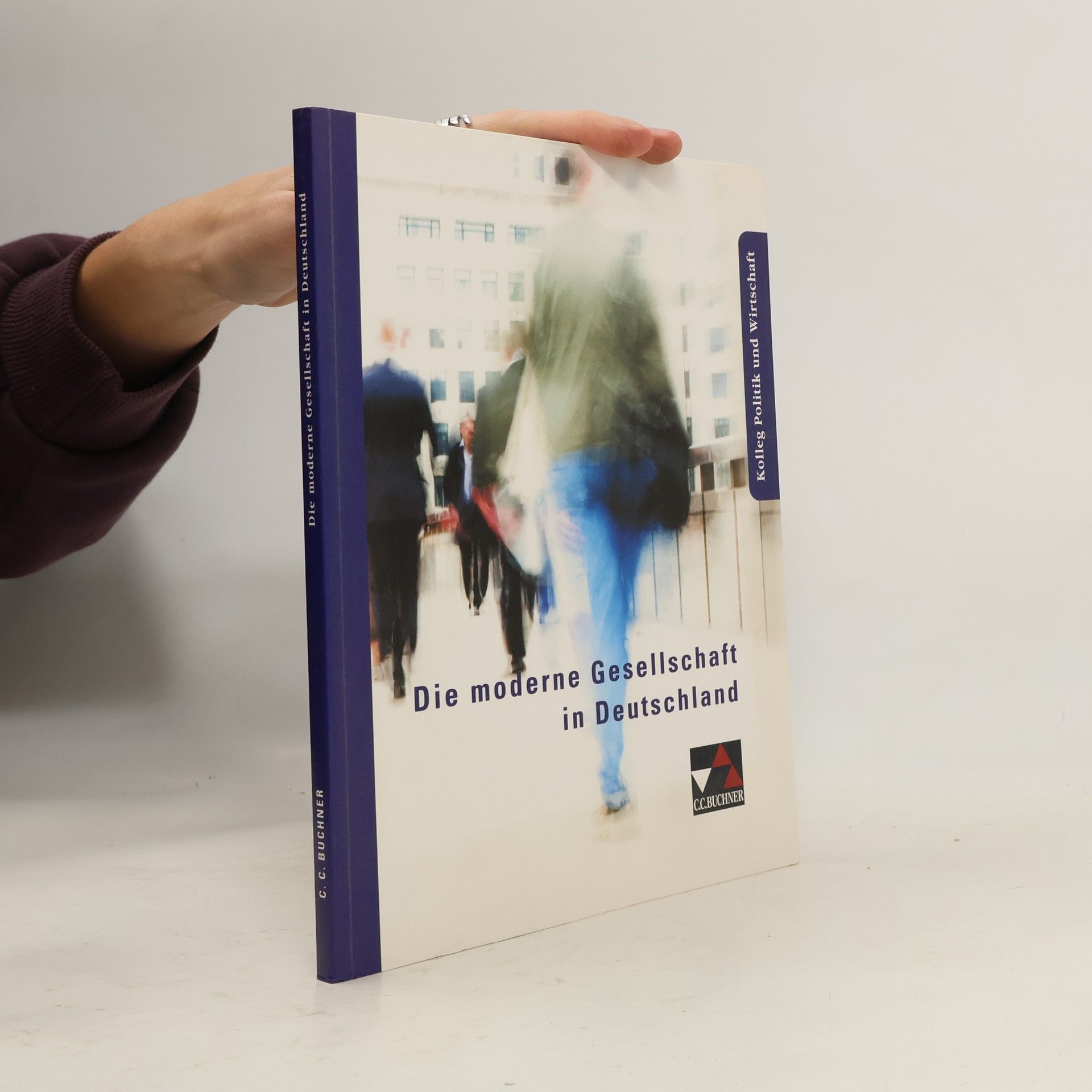 Auteurscollectief Die moderne Gesellschaft in Deutschland