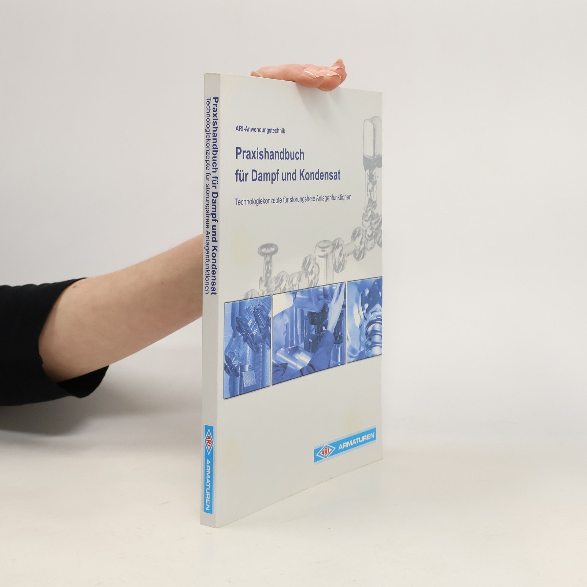 Autorenkollektiv Praxishandbuch für Dampf und Kondensattechnologie