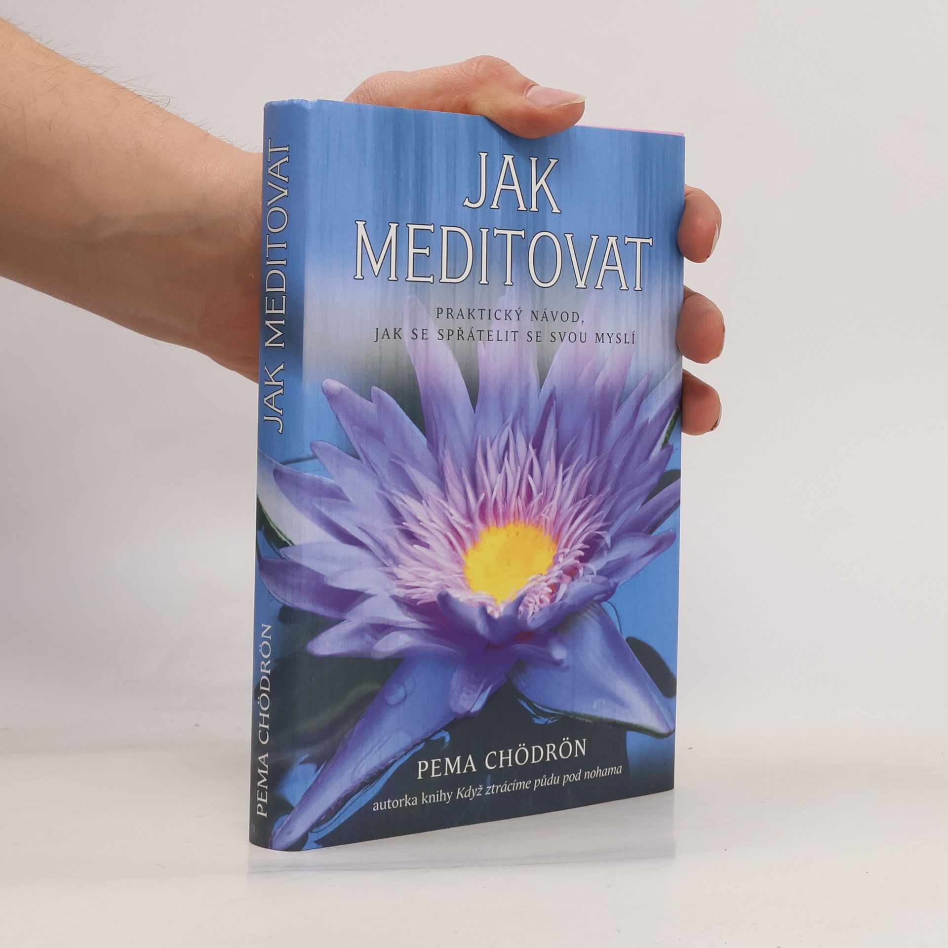 Pema Chödrön Jak meditovat