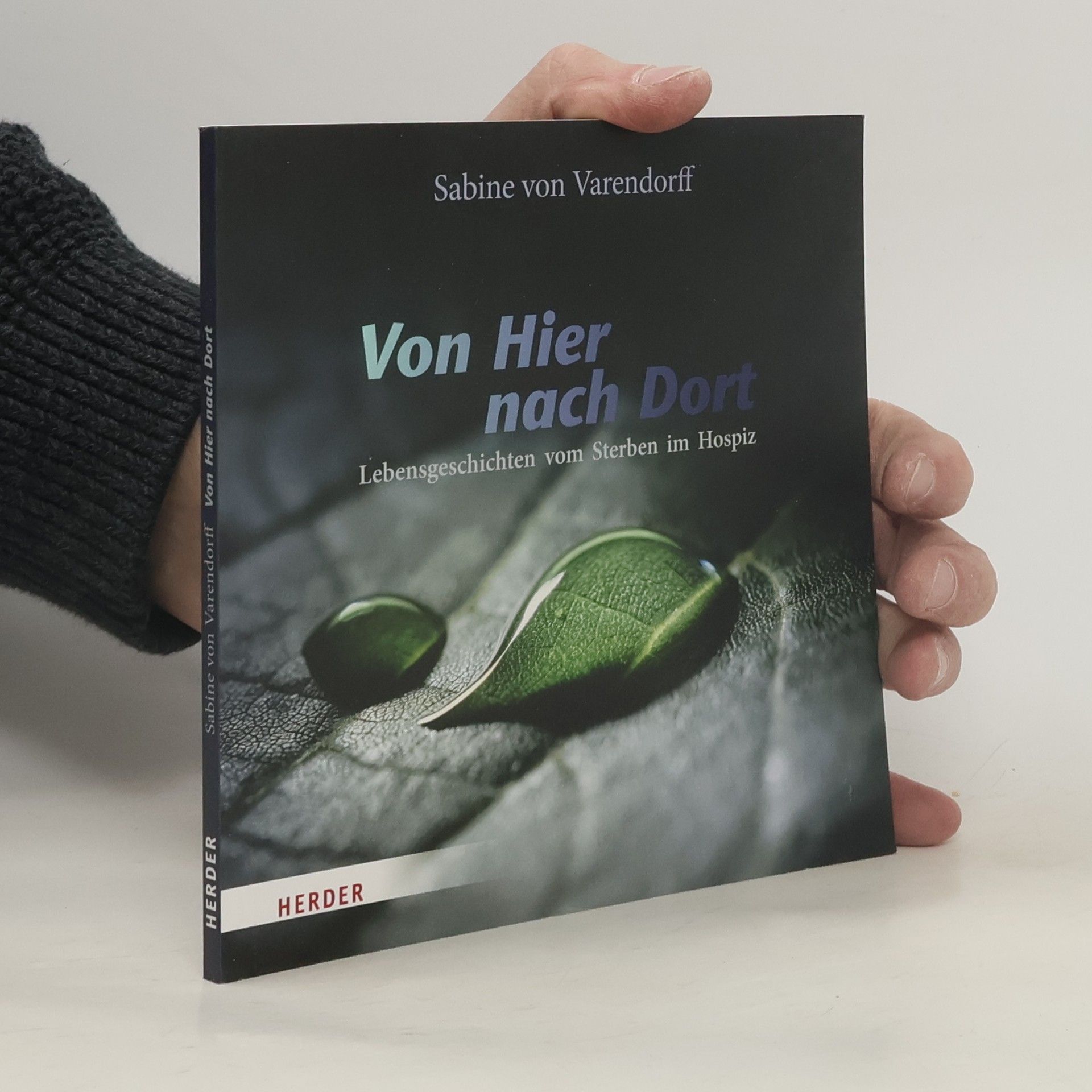 Sabine von Varendorff Von Hier nach Dort