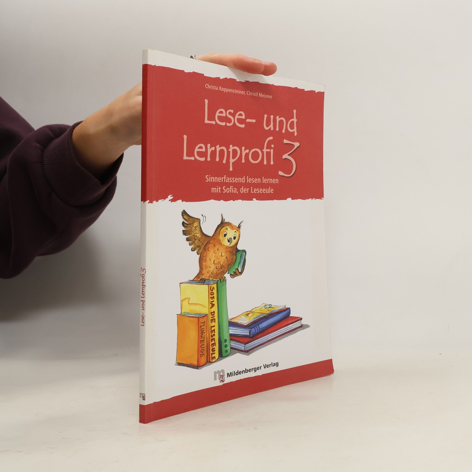 Lese- und Lernprofi 3. Schülerarbeitsheft