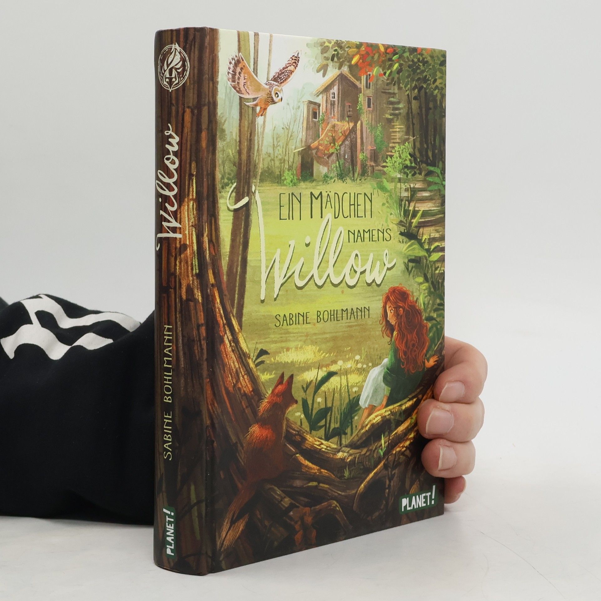 Sabine Bohlmann Ein Mädchen namens Willow