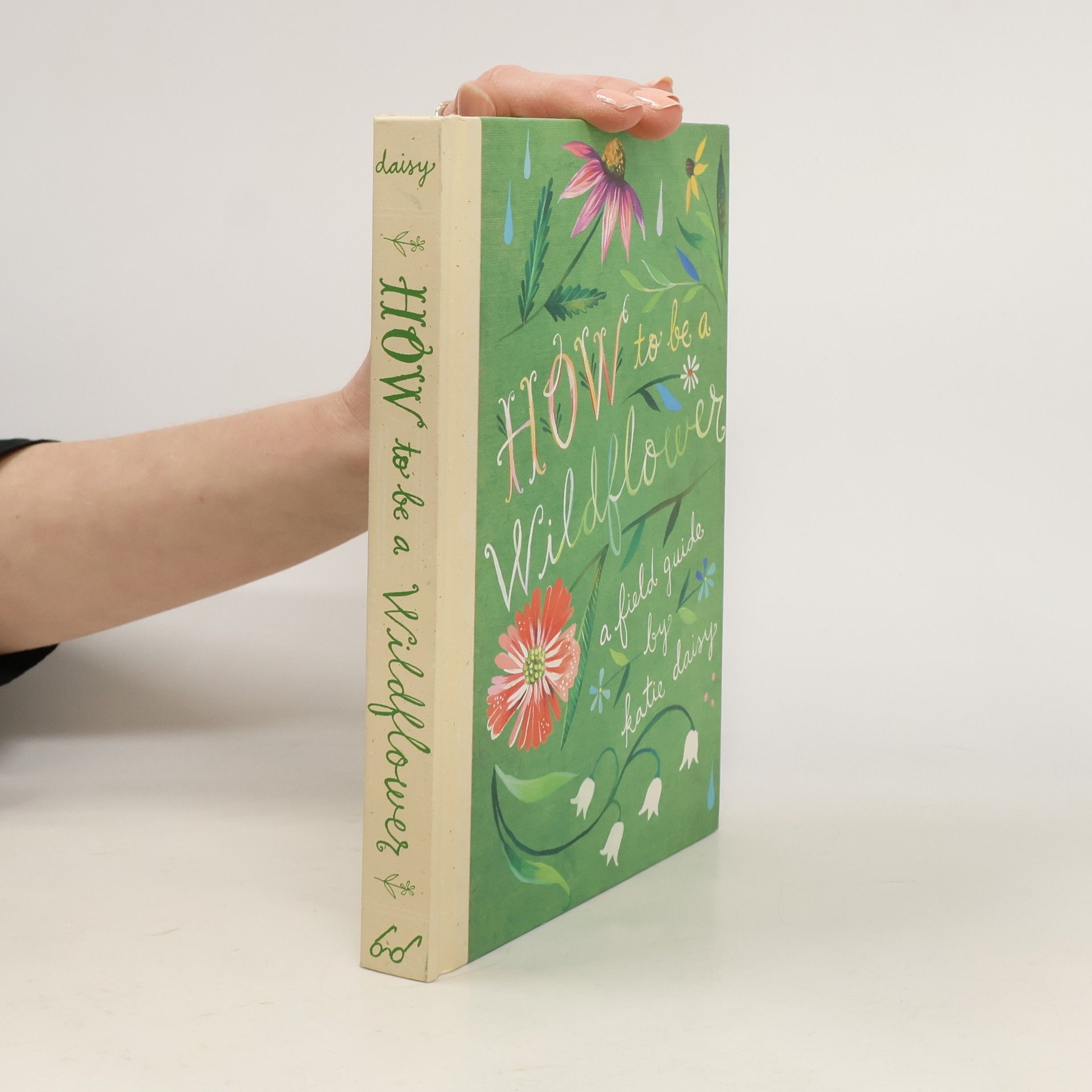 Katie Daisy How to Be a Wildflower