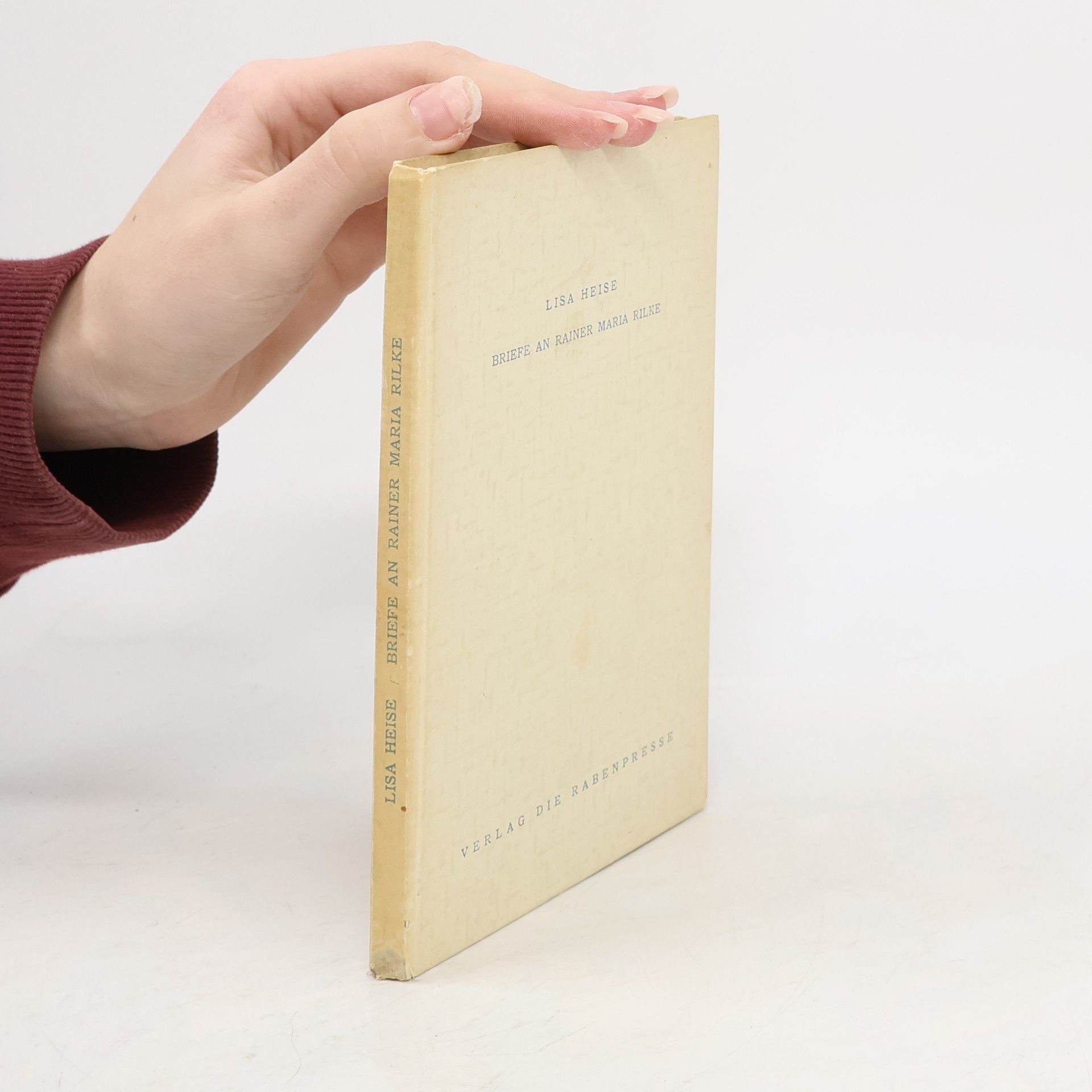 Meine Briefe an Rainer Maria Rilke