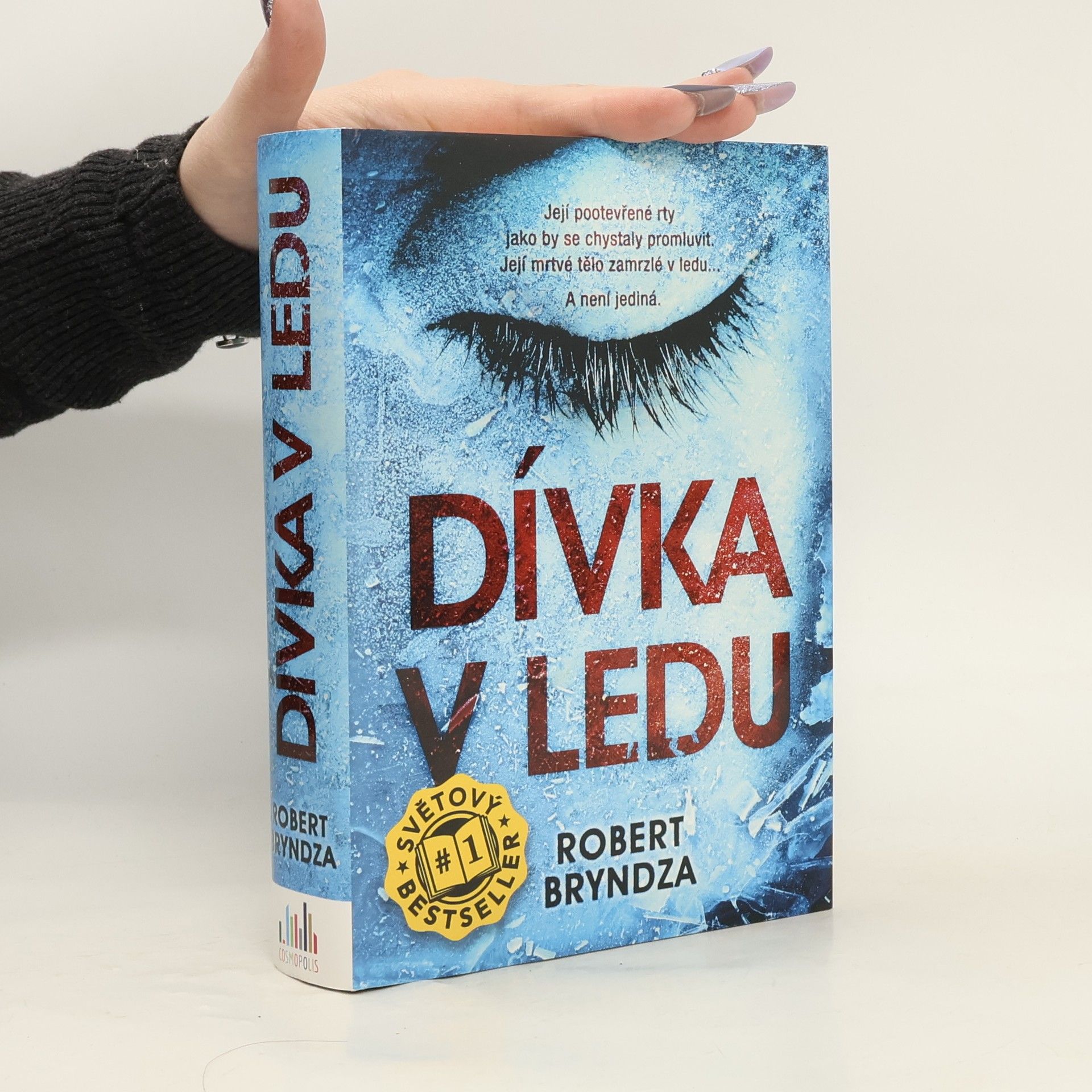 Robert Bryndza Dívka v ledu