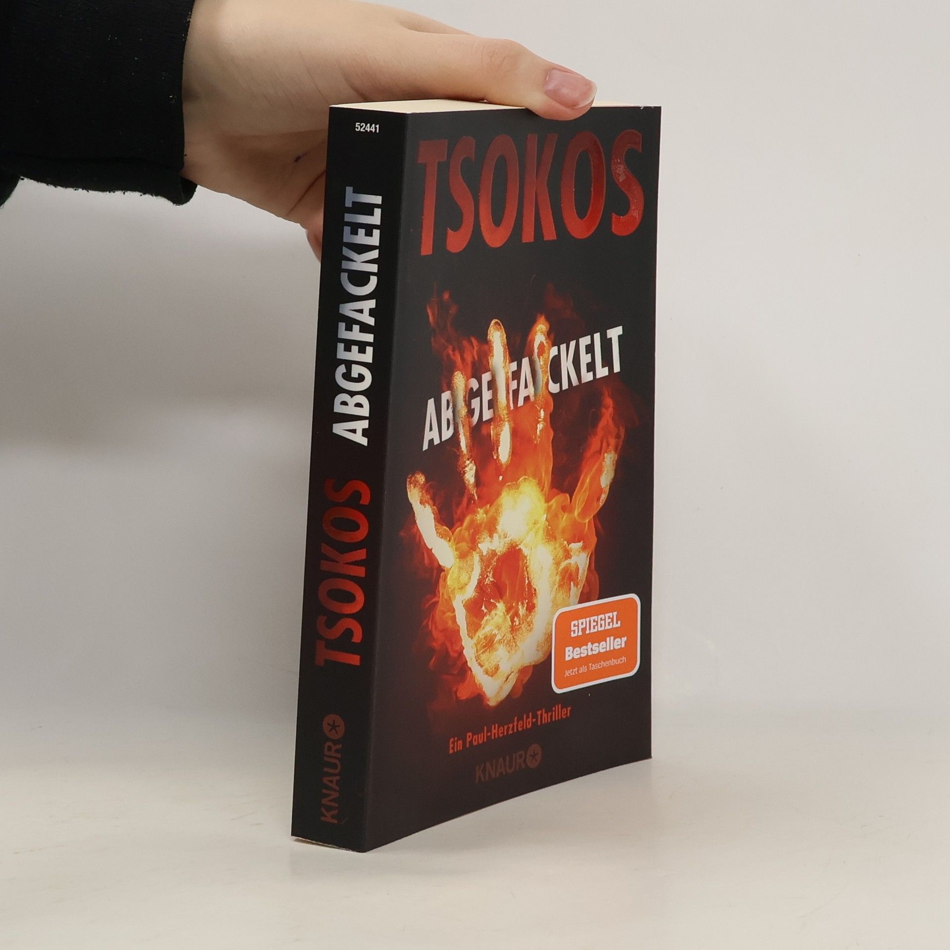 Michael Tsokos Abgefackelt