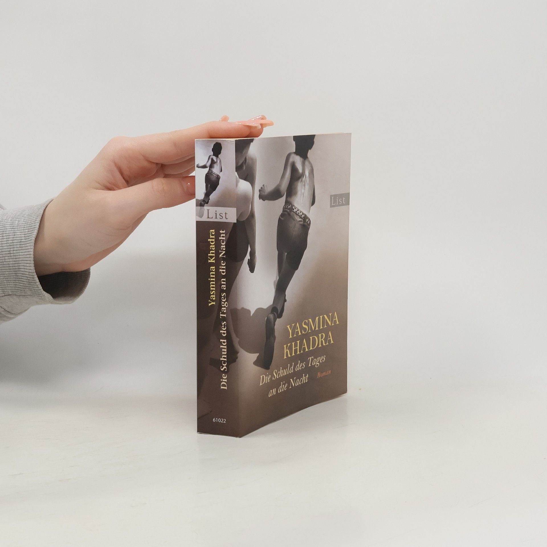 Yasmina Khadra Die Schuld des Tages an die Nacht