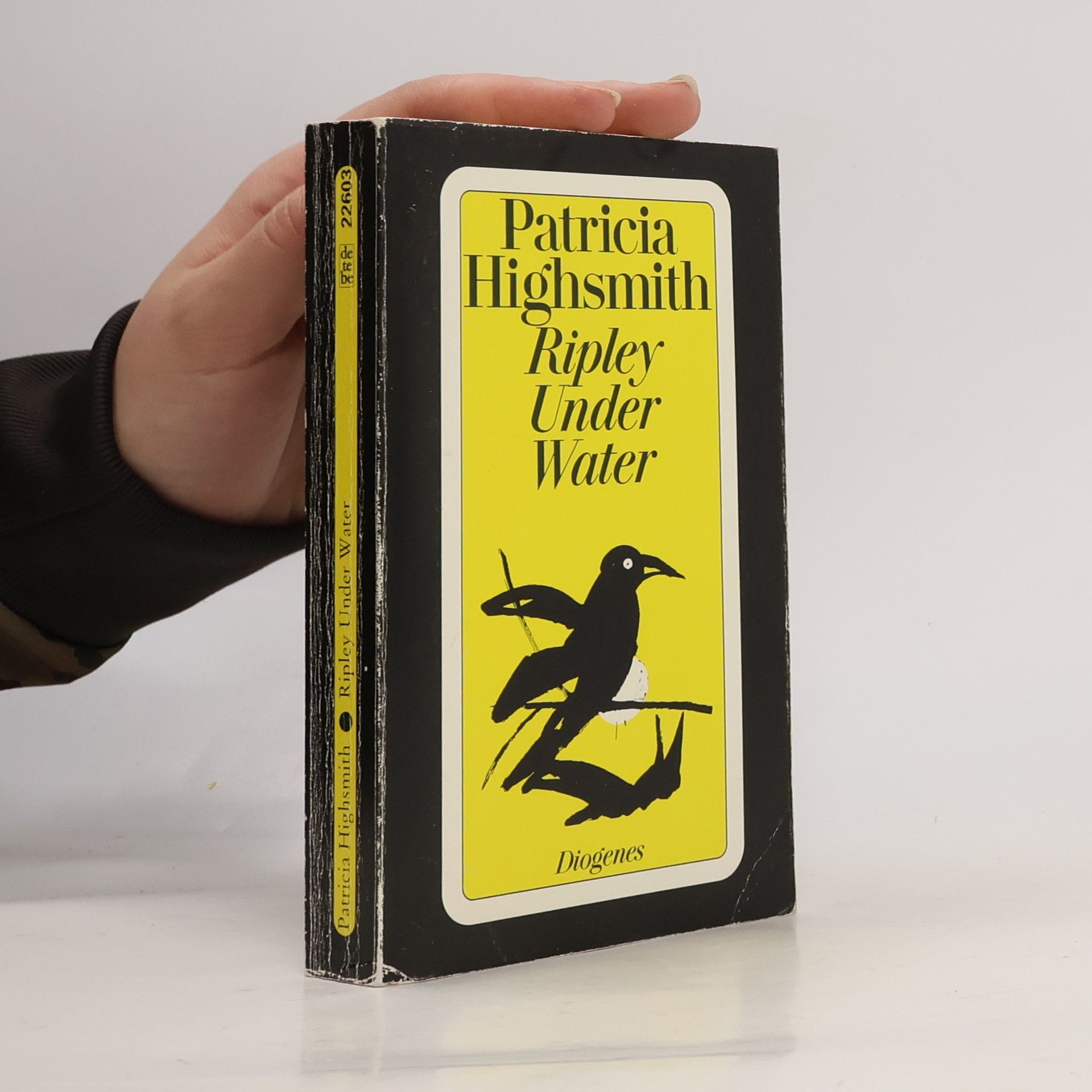 Patricia Highsmith Ripley Under Water