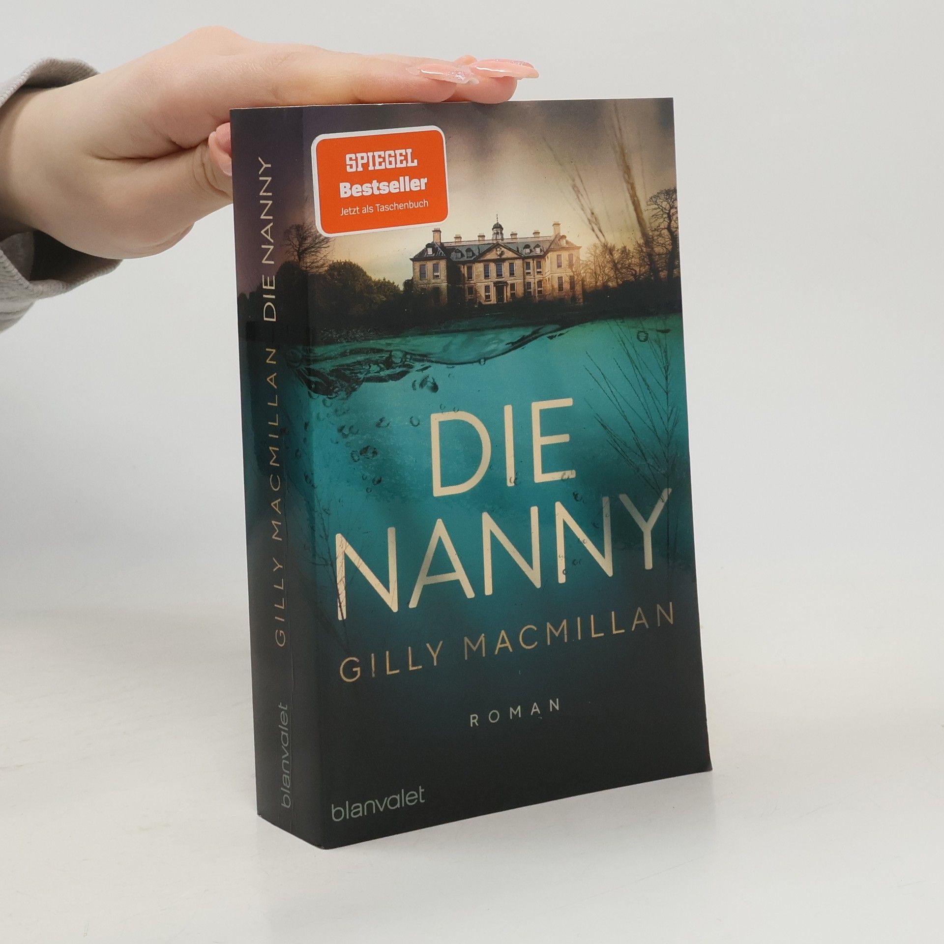 Gilly Macmillan Die Nanny