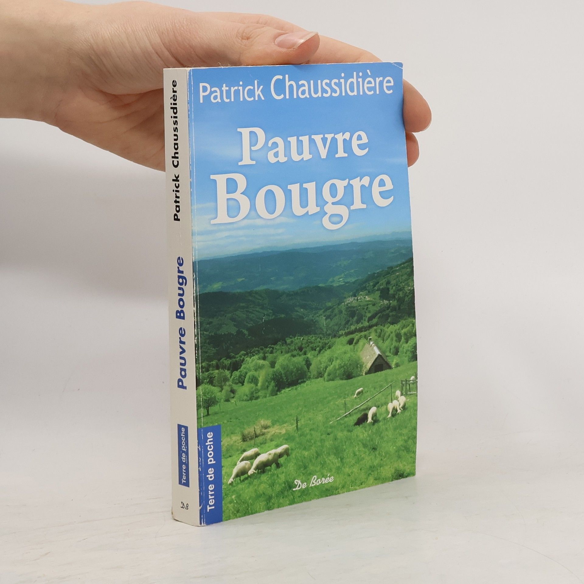 Patrick Chaussidière Terre de poche: Pauvre Bougre