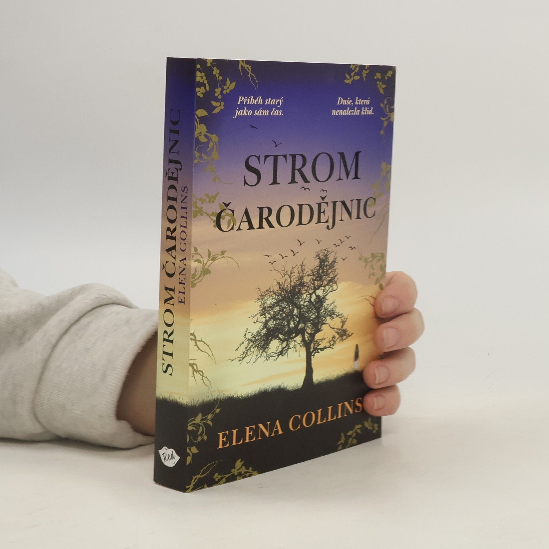 Jana Buchalová Strom čarodějnic