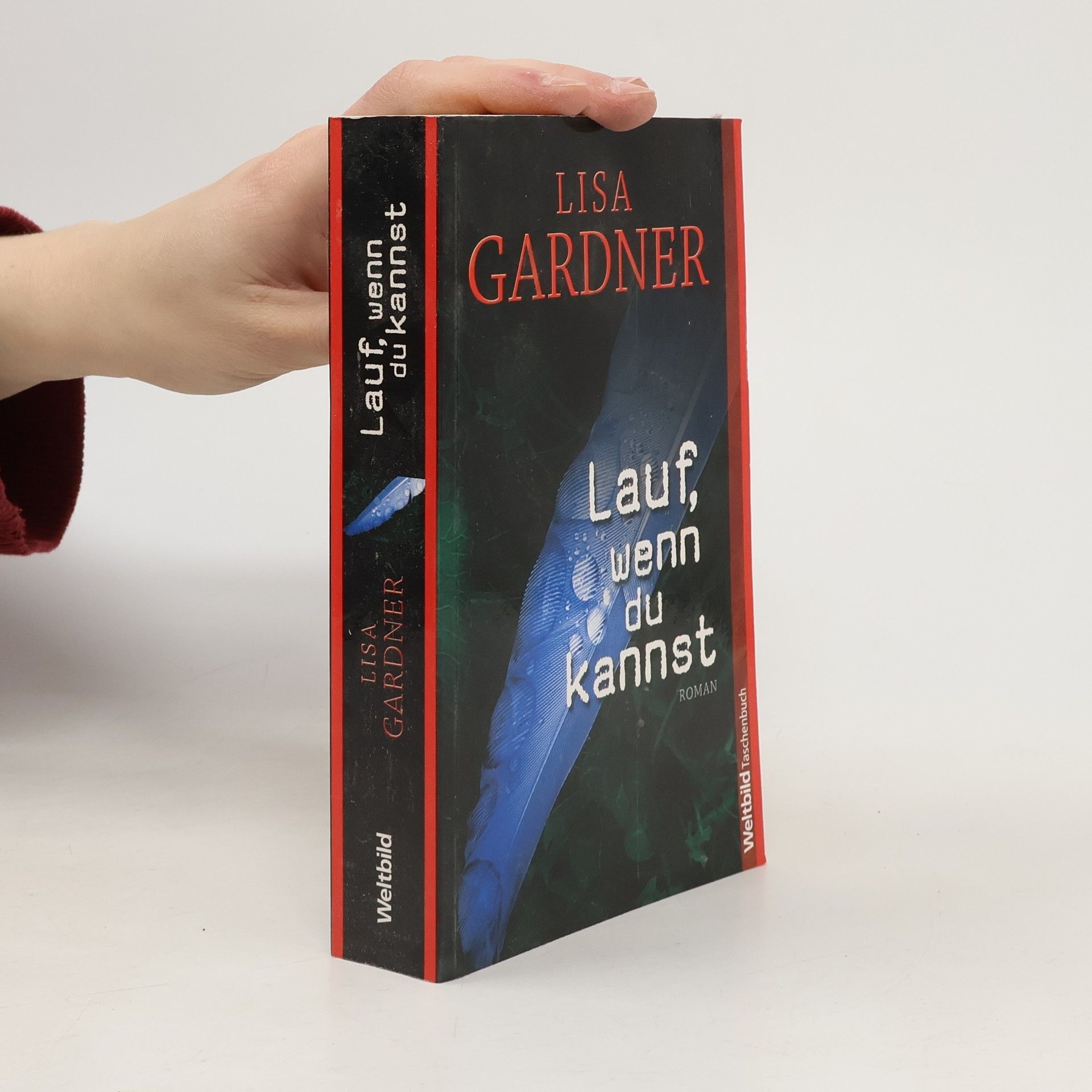 Lisa Gardner Lauf, wenn du kannst