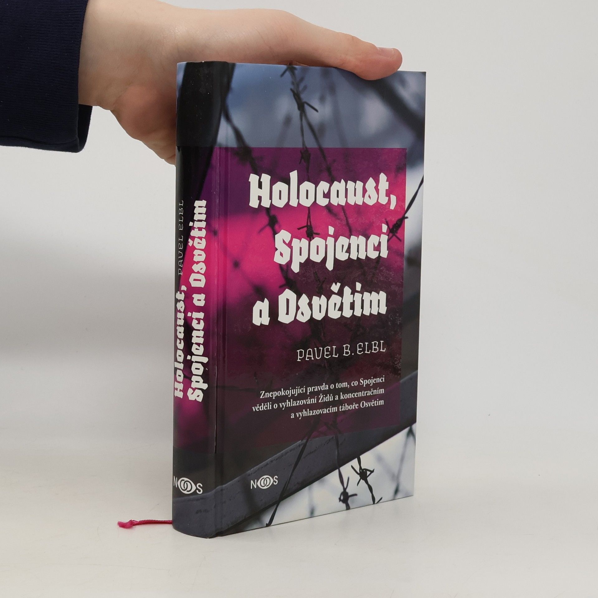 Holocaust, Spojenci a Osvětim