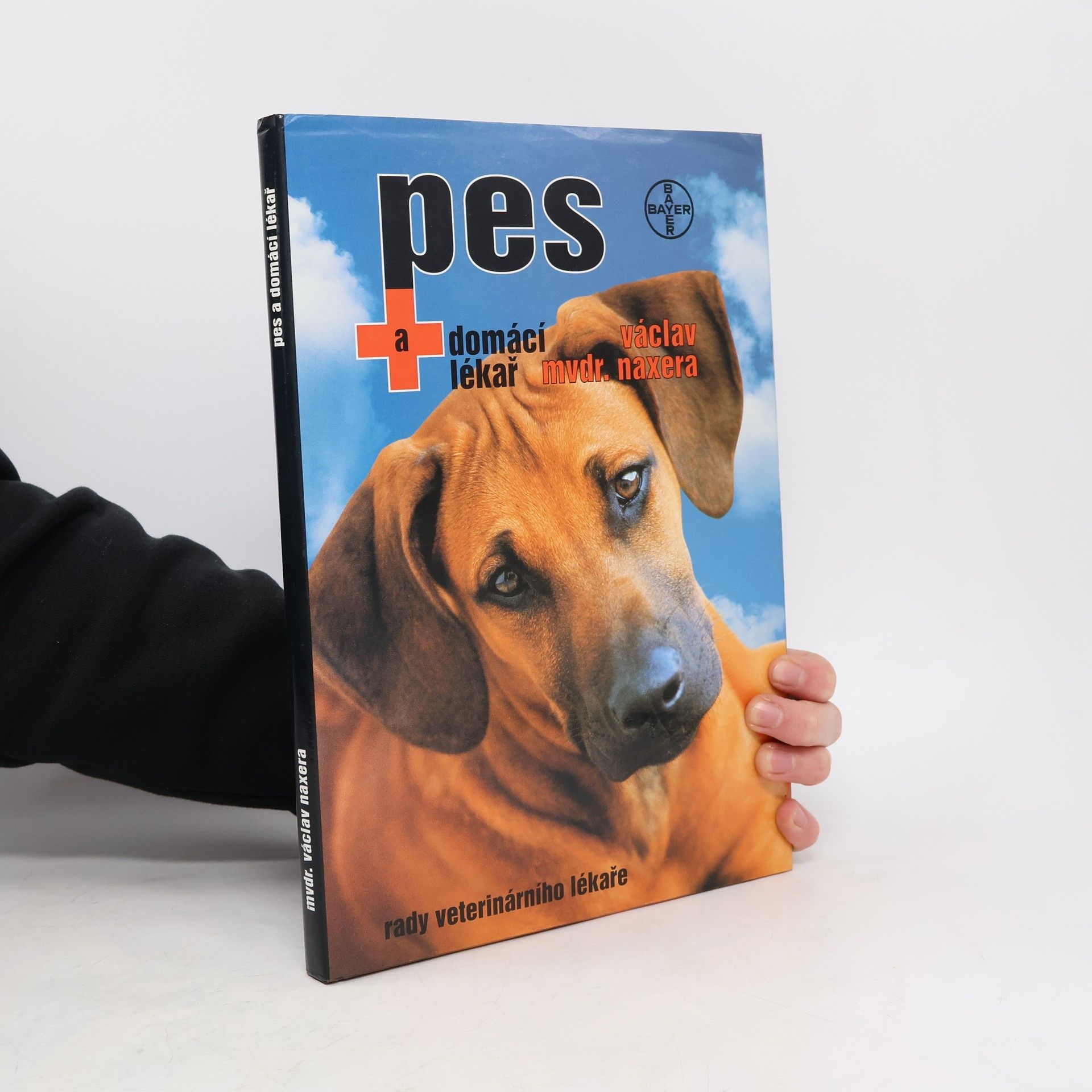 Pes a domácí lékař