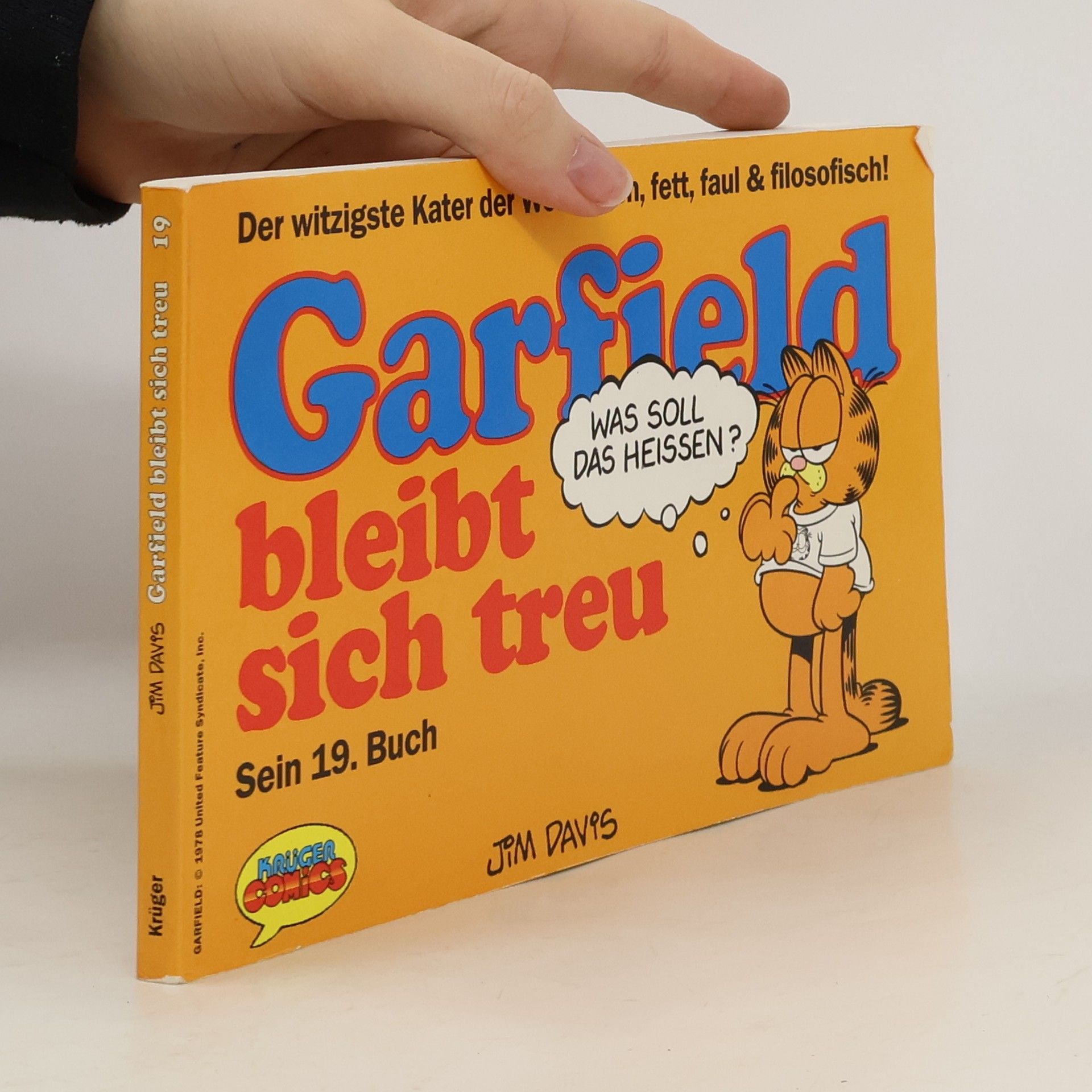 Jim Davis Garfield 19