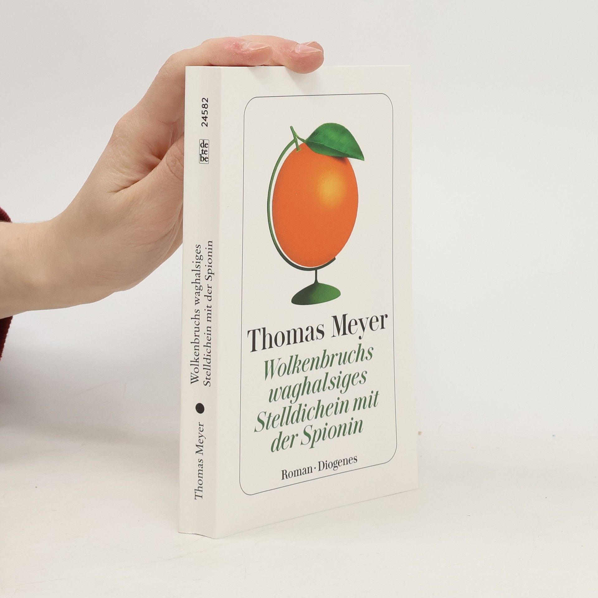 Thomas Meyer-Wieser Wolkenbruchs waghalsiges Stelldichein mit der Spionin