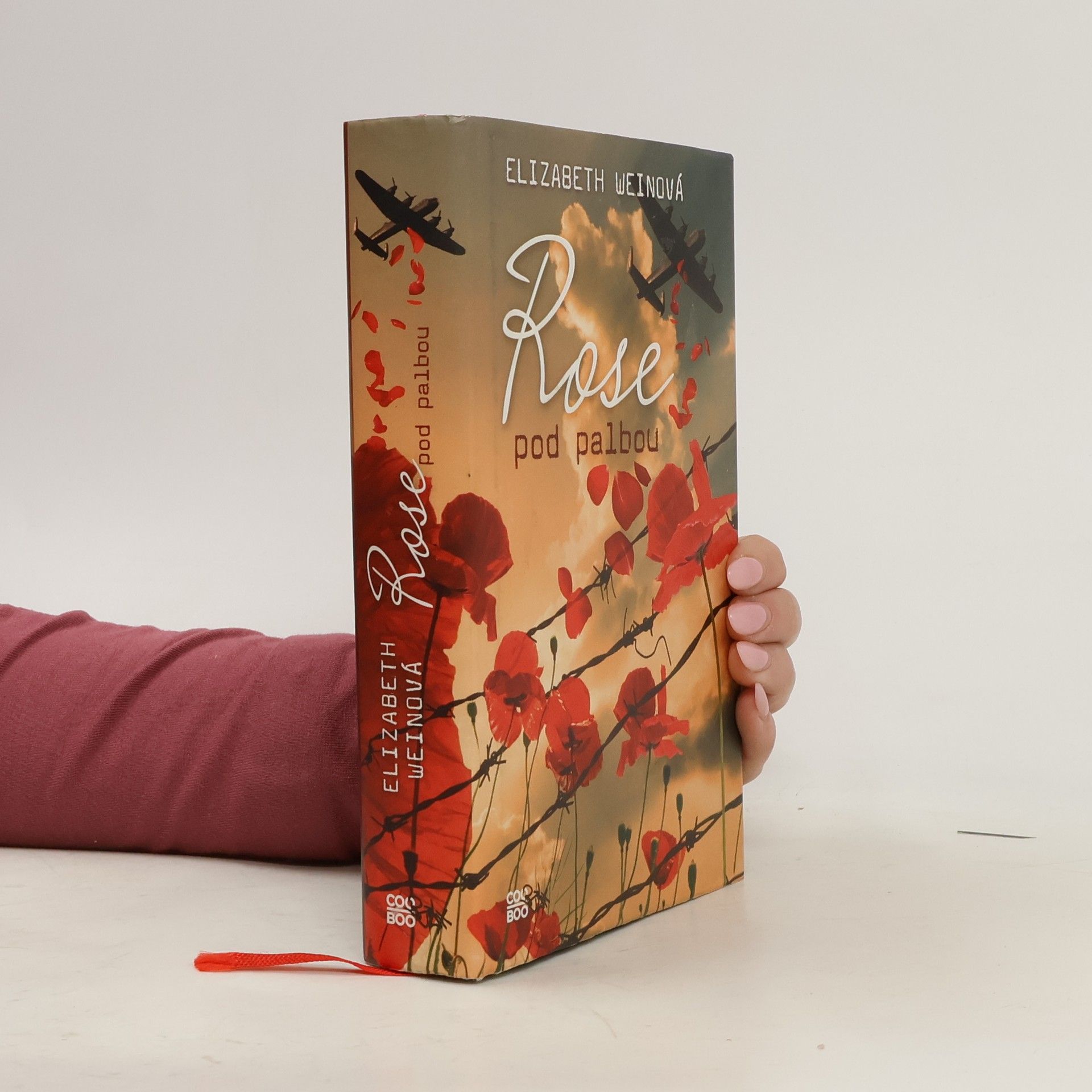 Elizabeth Wein Rose pod palbou