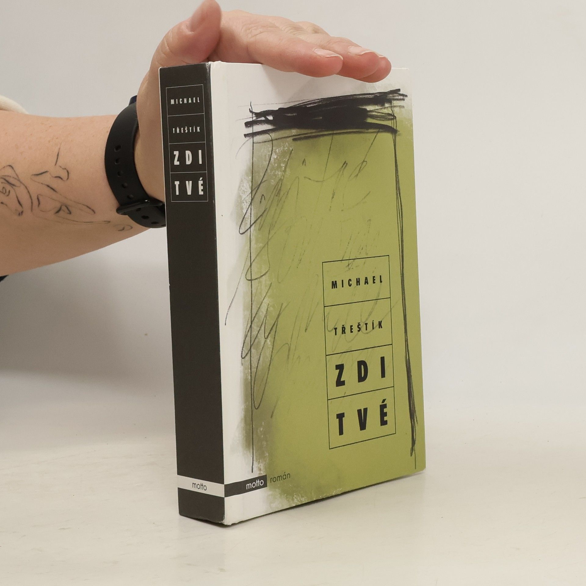 Michael Třeštík Zdi tvé