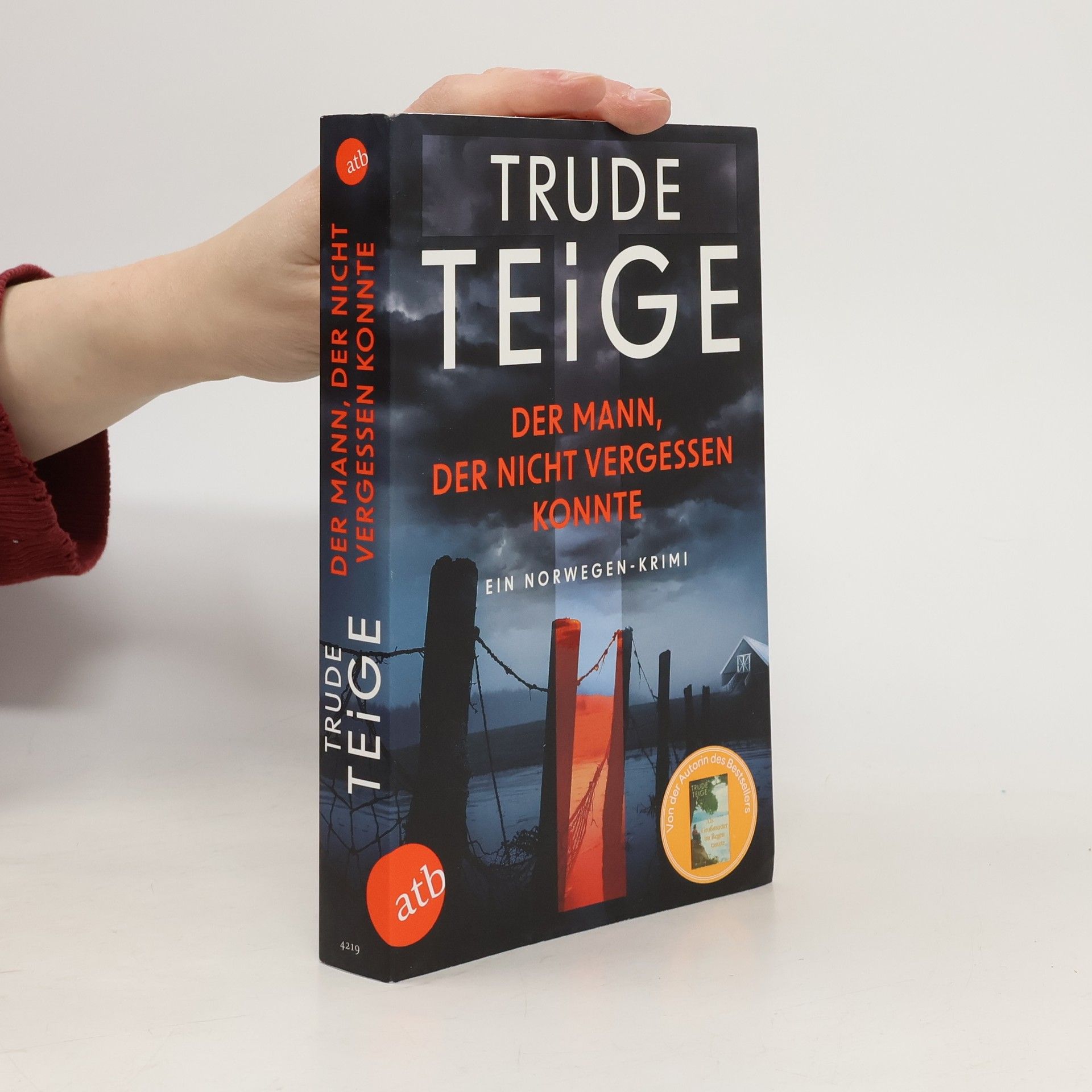 Trude Teige Der Mann, der nicht vergessen konnte