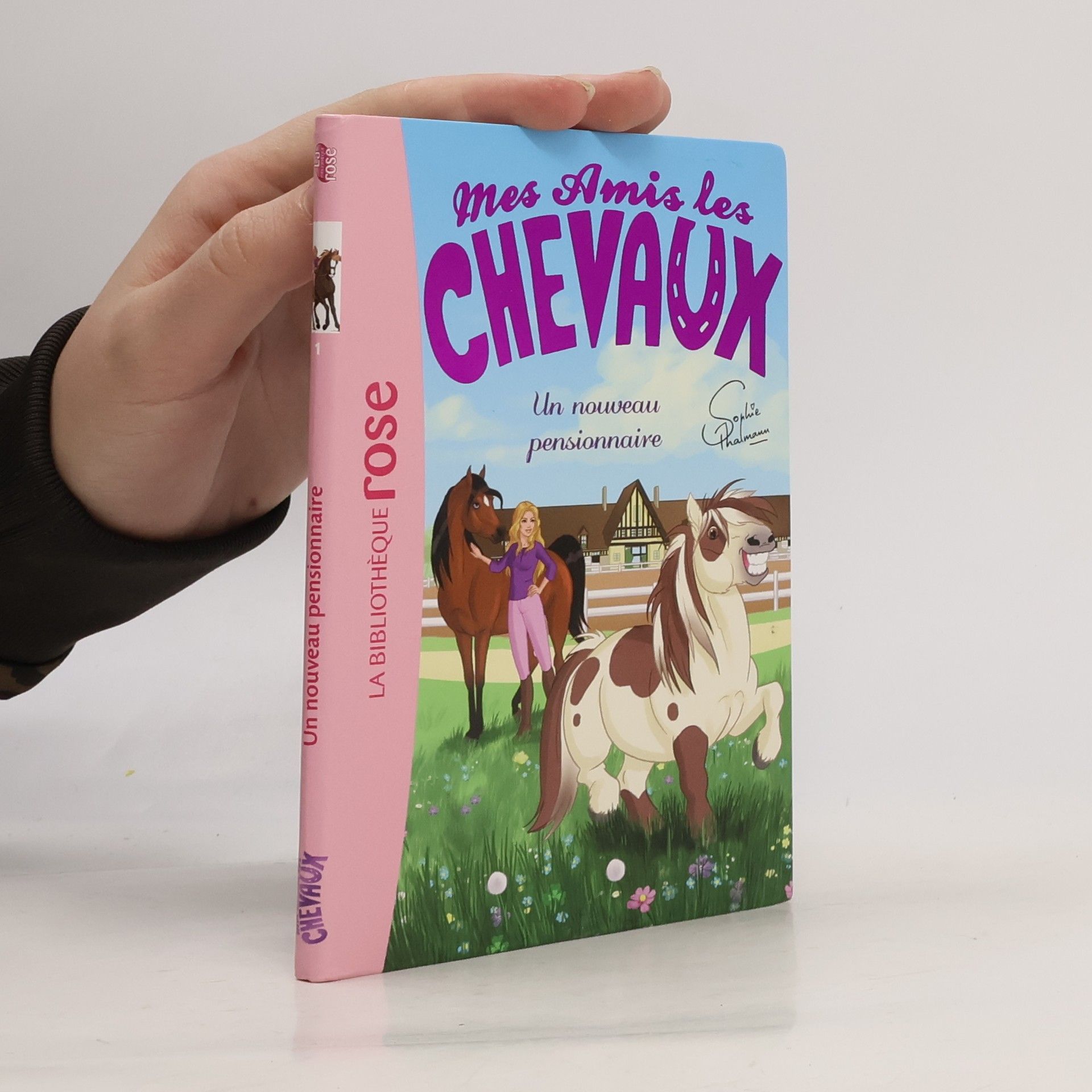 Natacha Godeau Mes Amis les Chevaux. Un nouveau pensionnaire