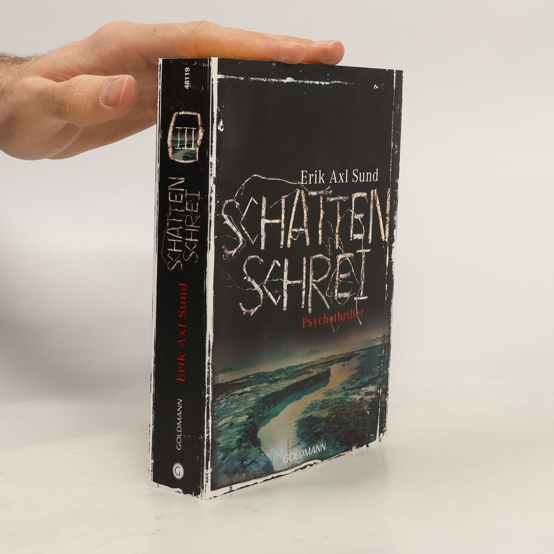 Erik Axl Sund Schattenschrei