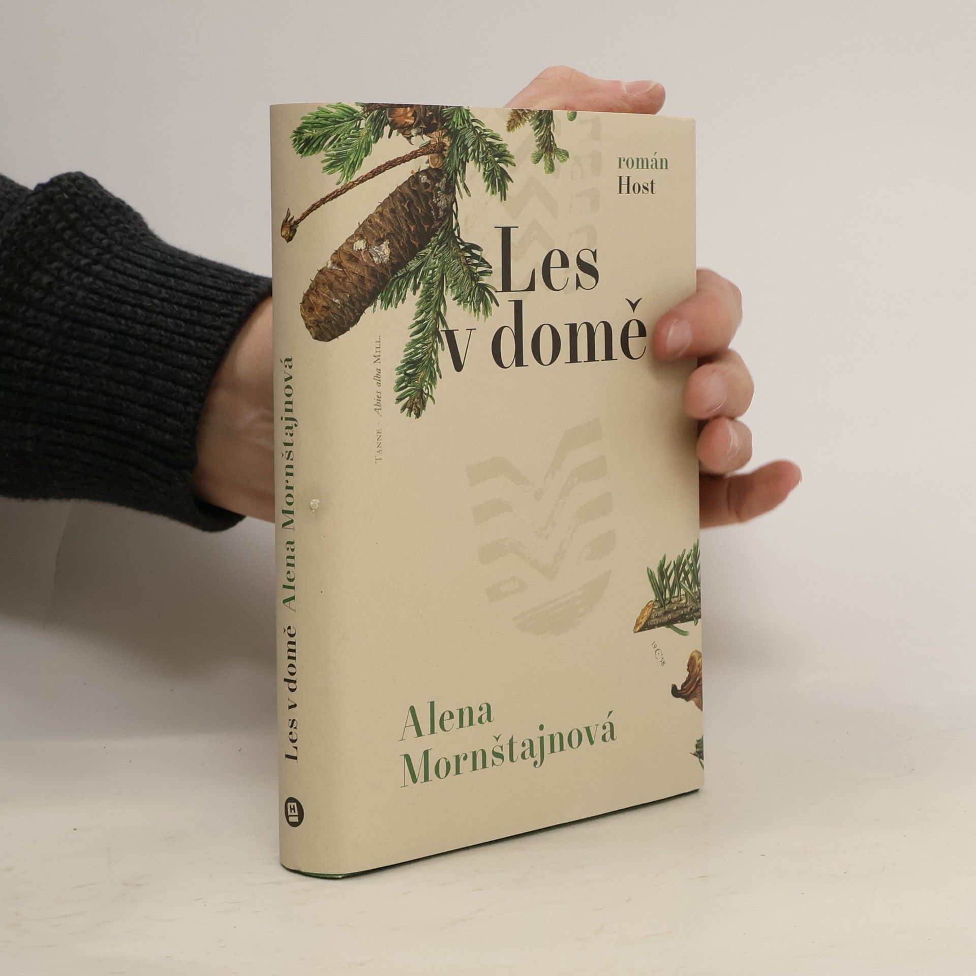 Alena Mornštajnová Les v domě