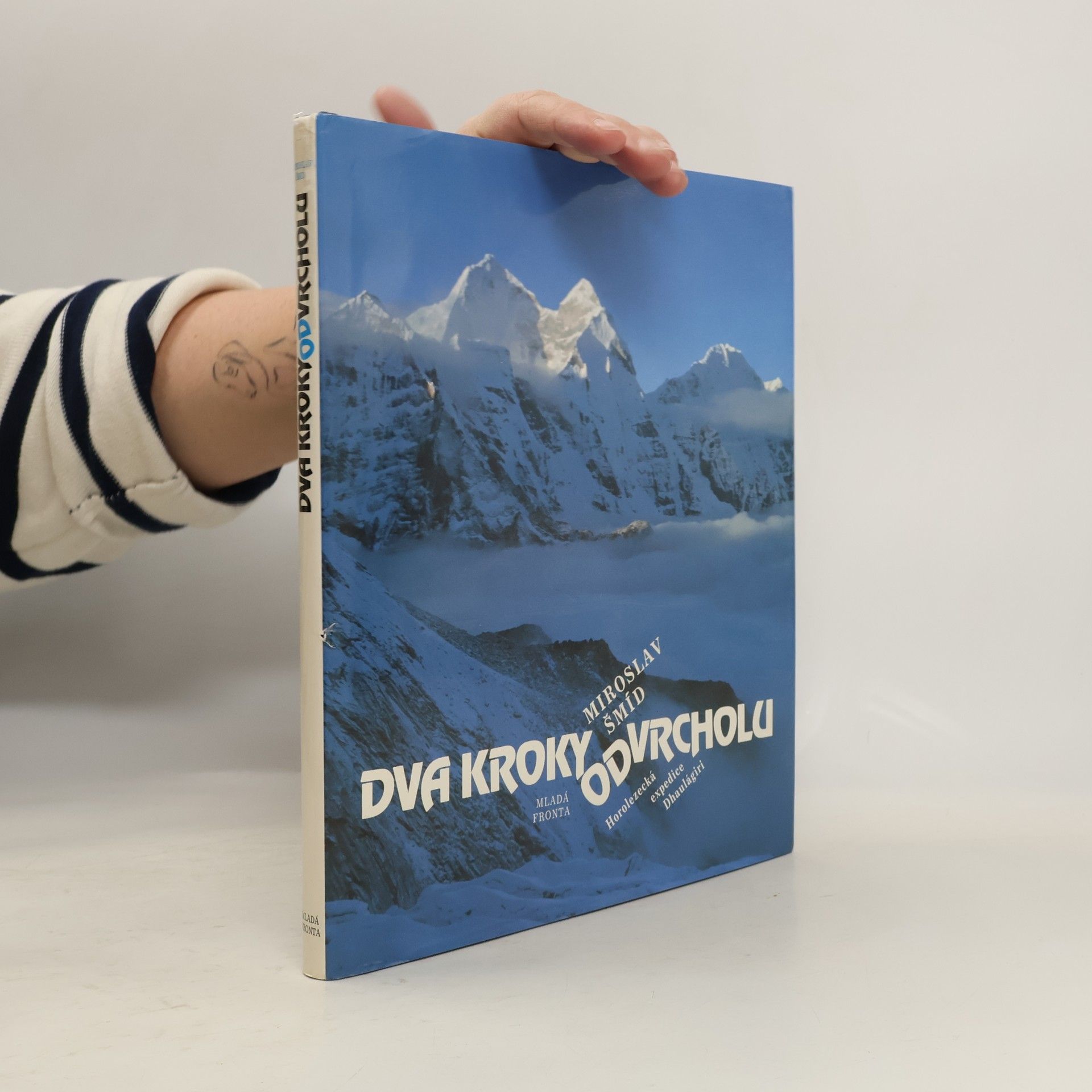 Dva kroky od vrcholu