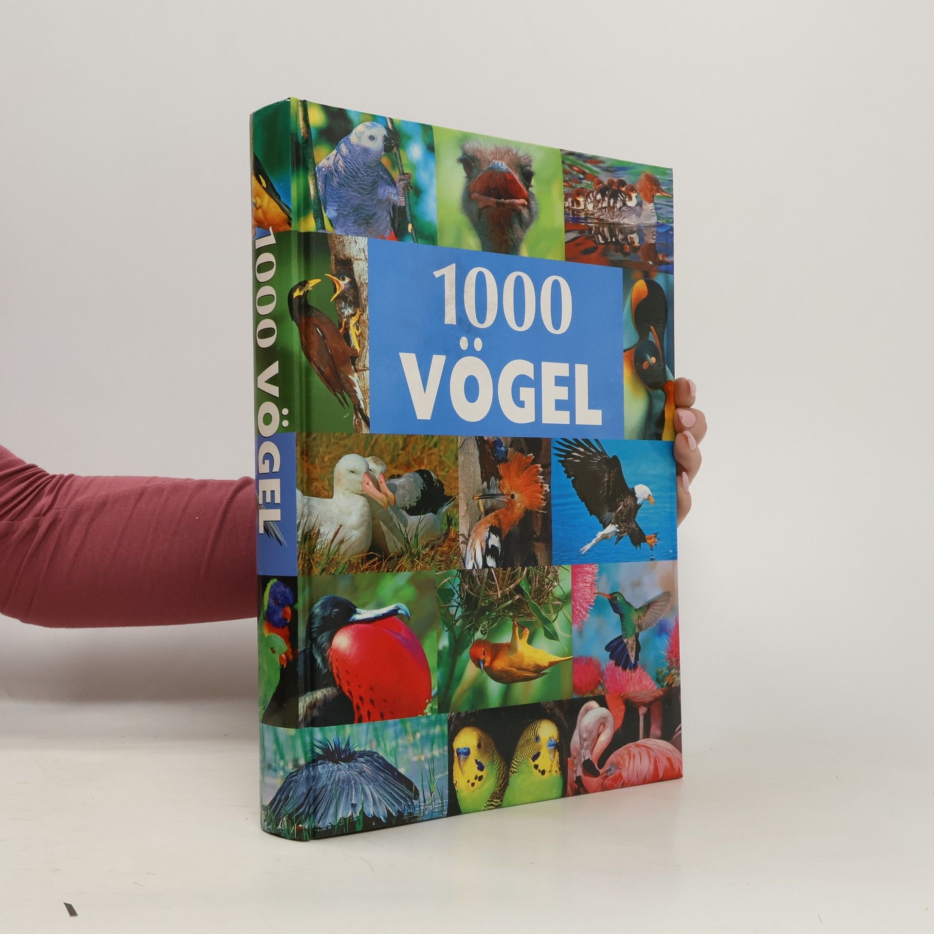 Volker Dierschke 1000 Vögel