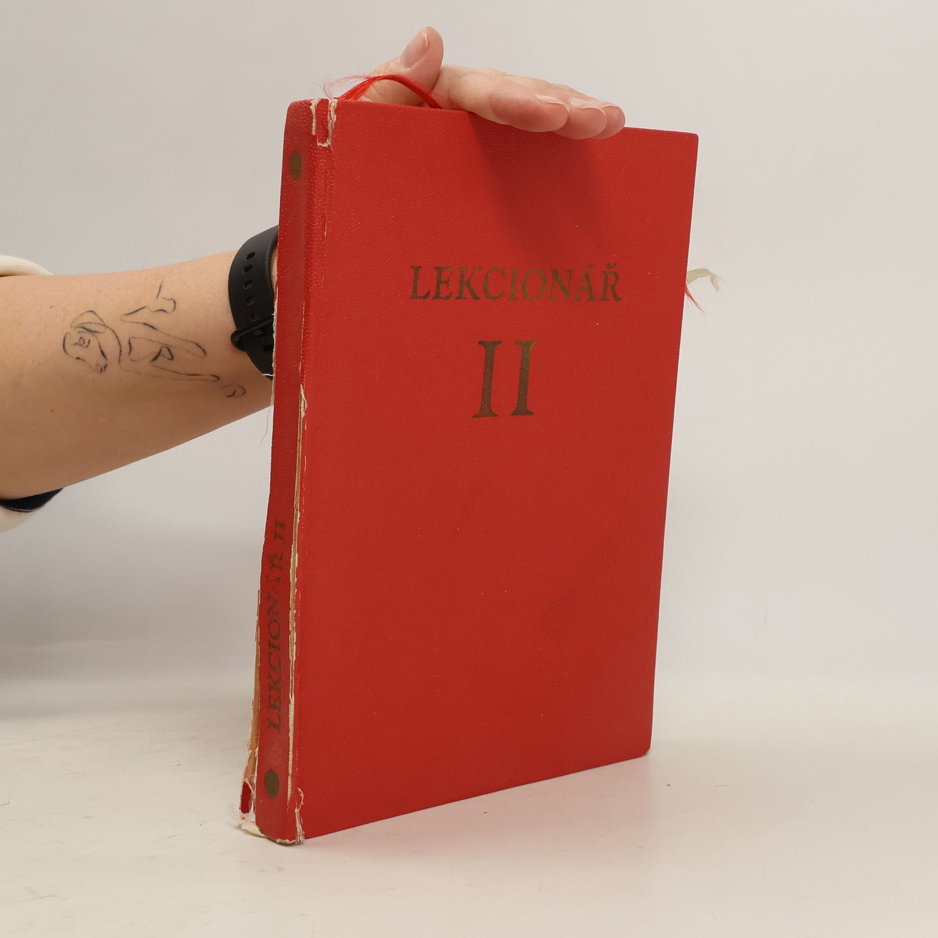 Auteurscollectief Denní modlitba církve. Lekcionář II