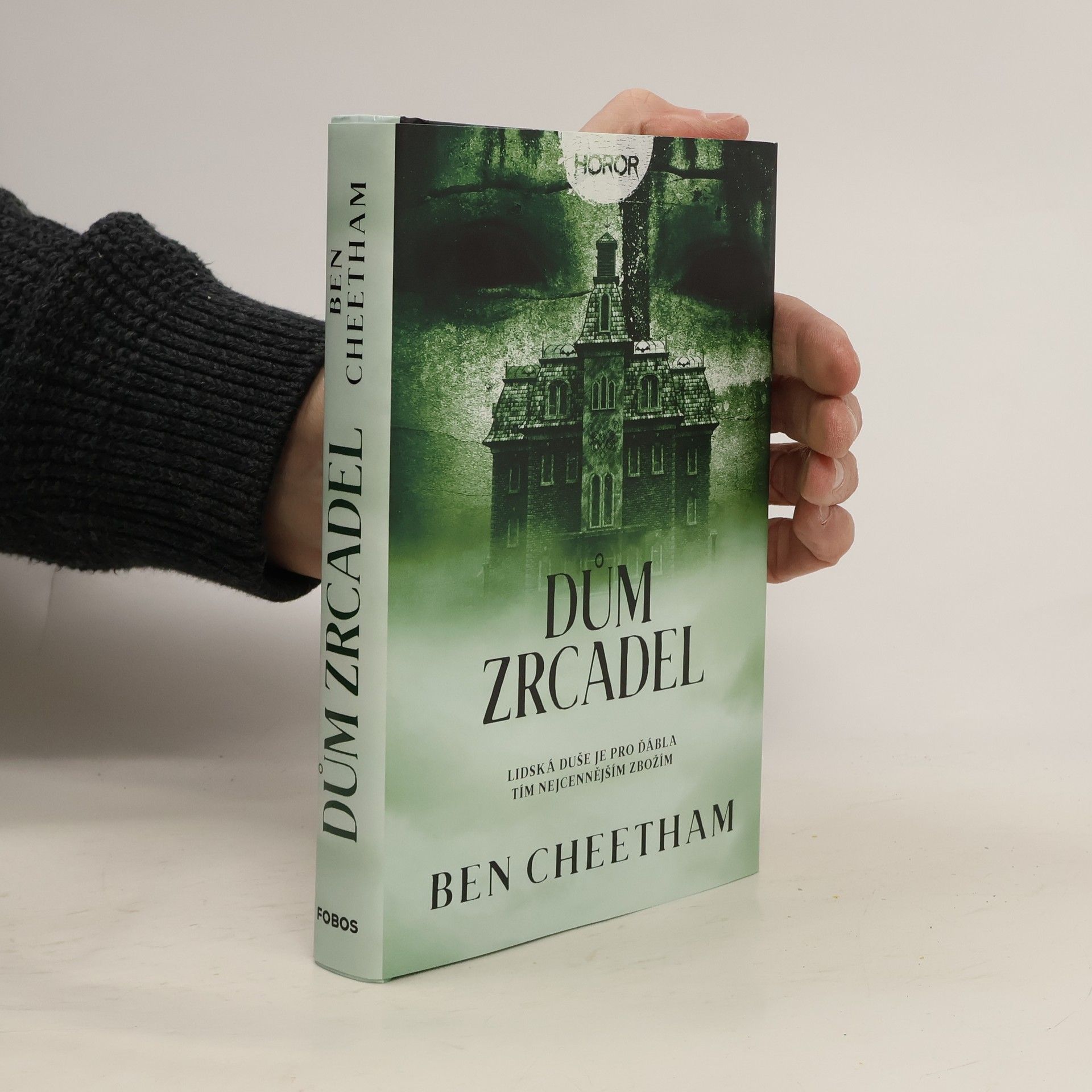 Ben Cheetham Dům zrcadel