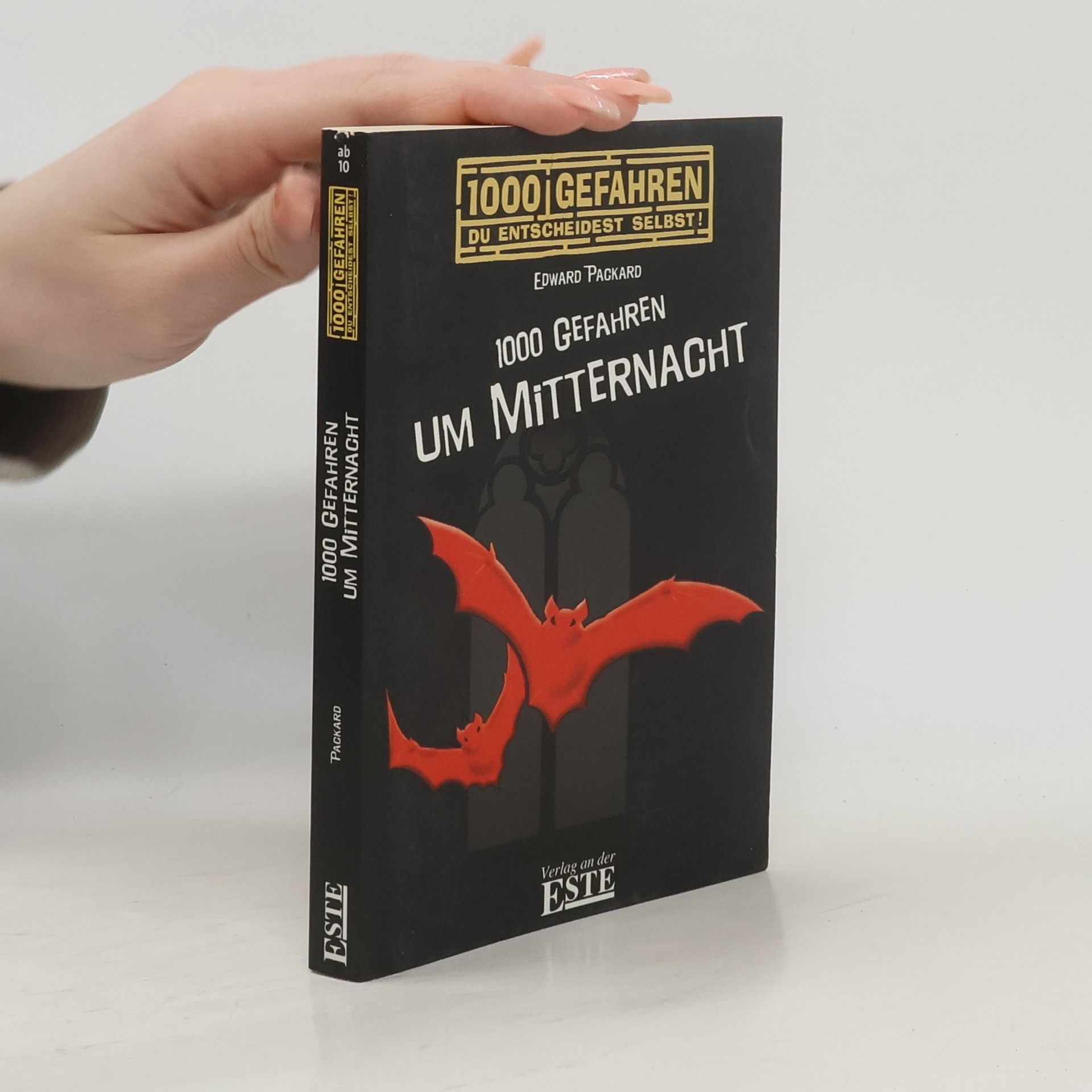 Edward Packard 1000 Gefahren um Mitternacht